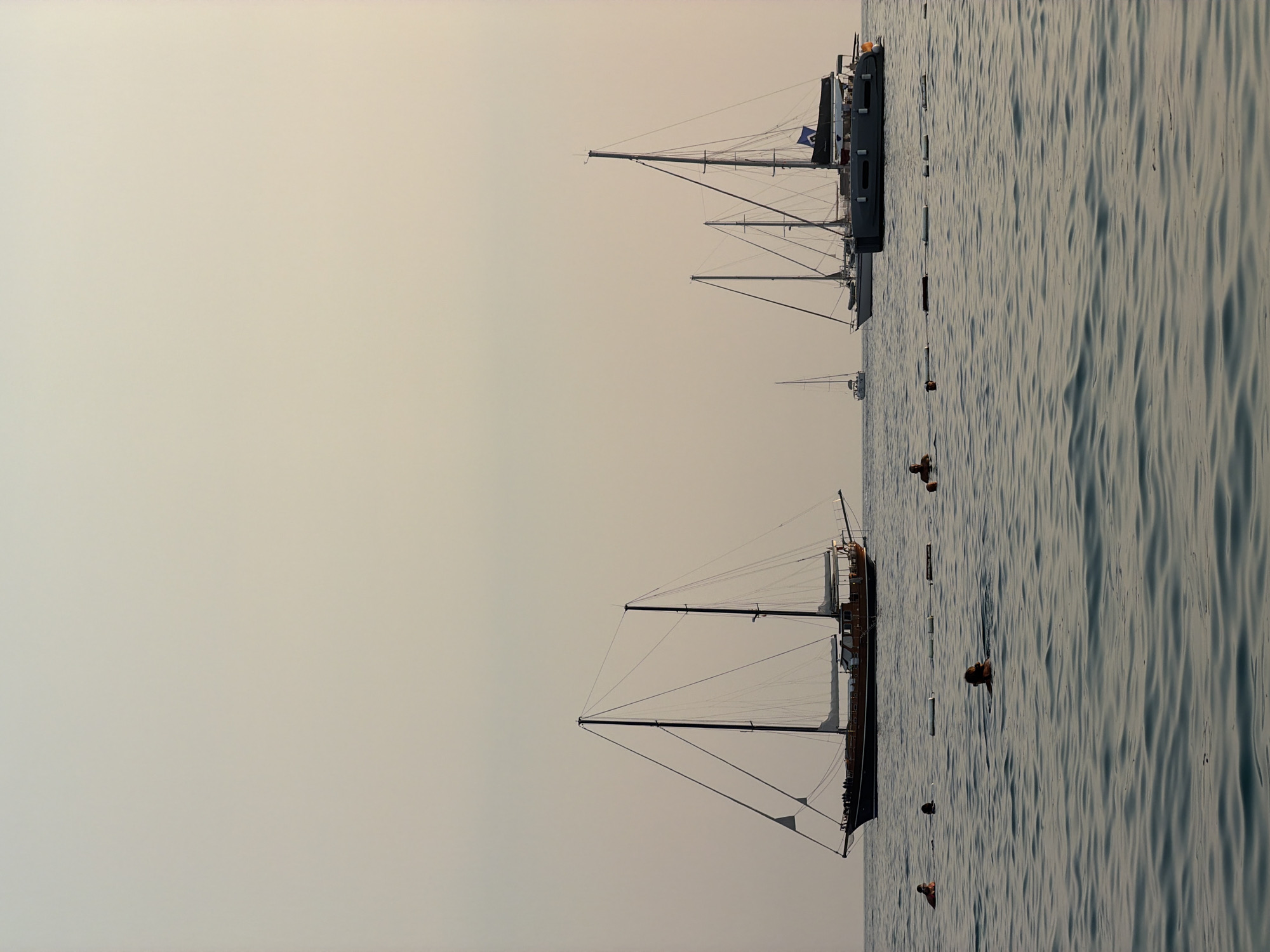 This is a vertical, full shot of the Adriatic Sea off the coast of Budva, Montenegro, at dusk. The water is a soft, rippled blue, with several individuals swimming near the foreground. In the middle ground and background, multiple sailboats of varying sizes are anchored or moving slowly on the water, silhouetted against a pale, gradient sky that transitions from a light yellow near the horizon to a soft grey above. One large, wooden sailboat with two masts is prominent on the left. To the right, a group of three modern sailboats are visible, with one featuring a dark grey hull and a blue flag. The overall mood is serene and peaceful.