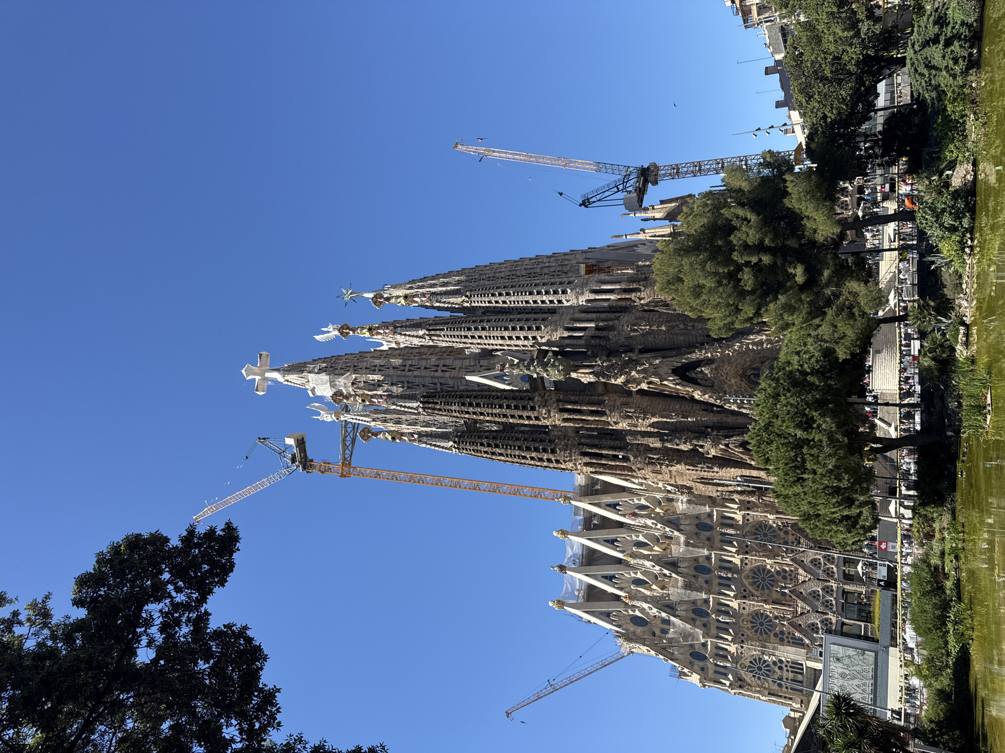 This image shows the Sagrada Familia basilica in Barcelona, Spain. The basilica is a tall, unfinished structure with several spires, construction cranes, and intricate facades. To the right of the basilica is foliage that leads to a pool of water. There are buildings, people, trees, and other vegetation to the right of the water. The sky is a clear, deep blue.