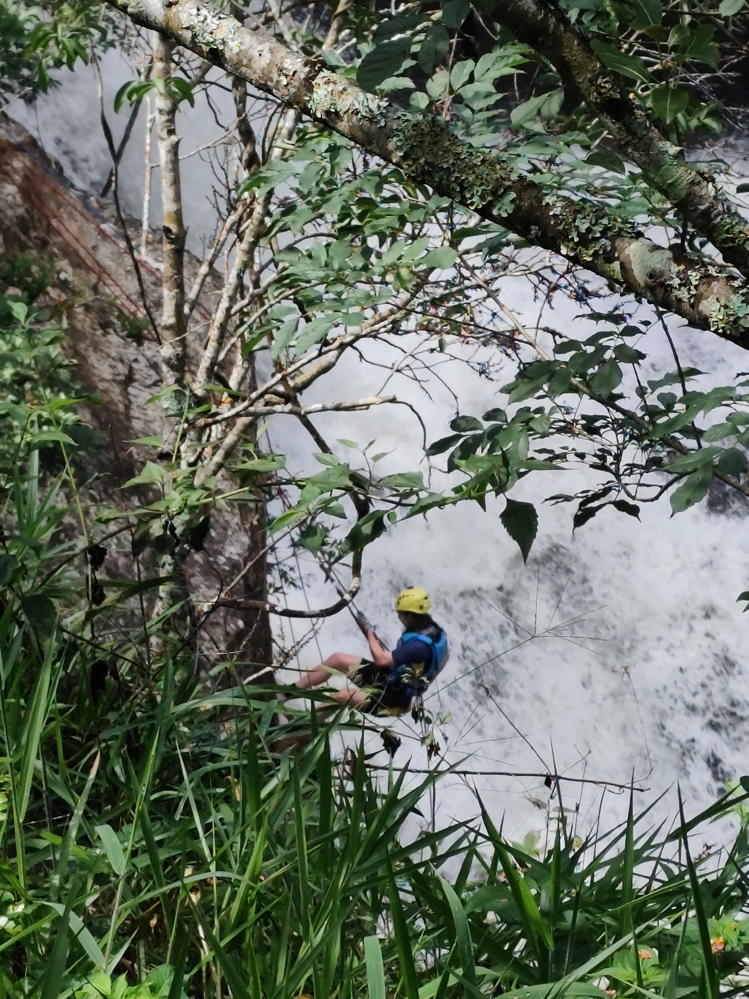 A person rappels down a waterfall near Da Lat, Vietnam. The individual, wearing a yellow helmet and a blue and black harness, is suspended by a rope against a backdrop of rushing white water. Lush green foliage frames the scene, with trees and plants obscuring and highlighting the waterfall and the rappeller. The environment suggests a natural setting, possibly a park or a remote area outside the city known for its waterfalls.