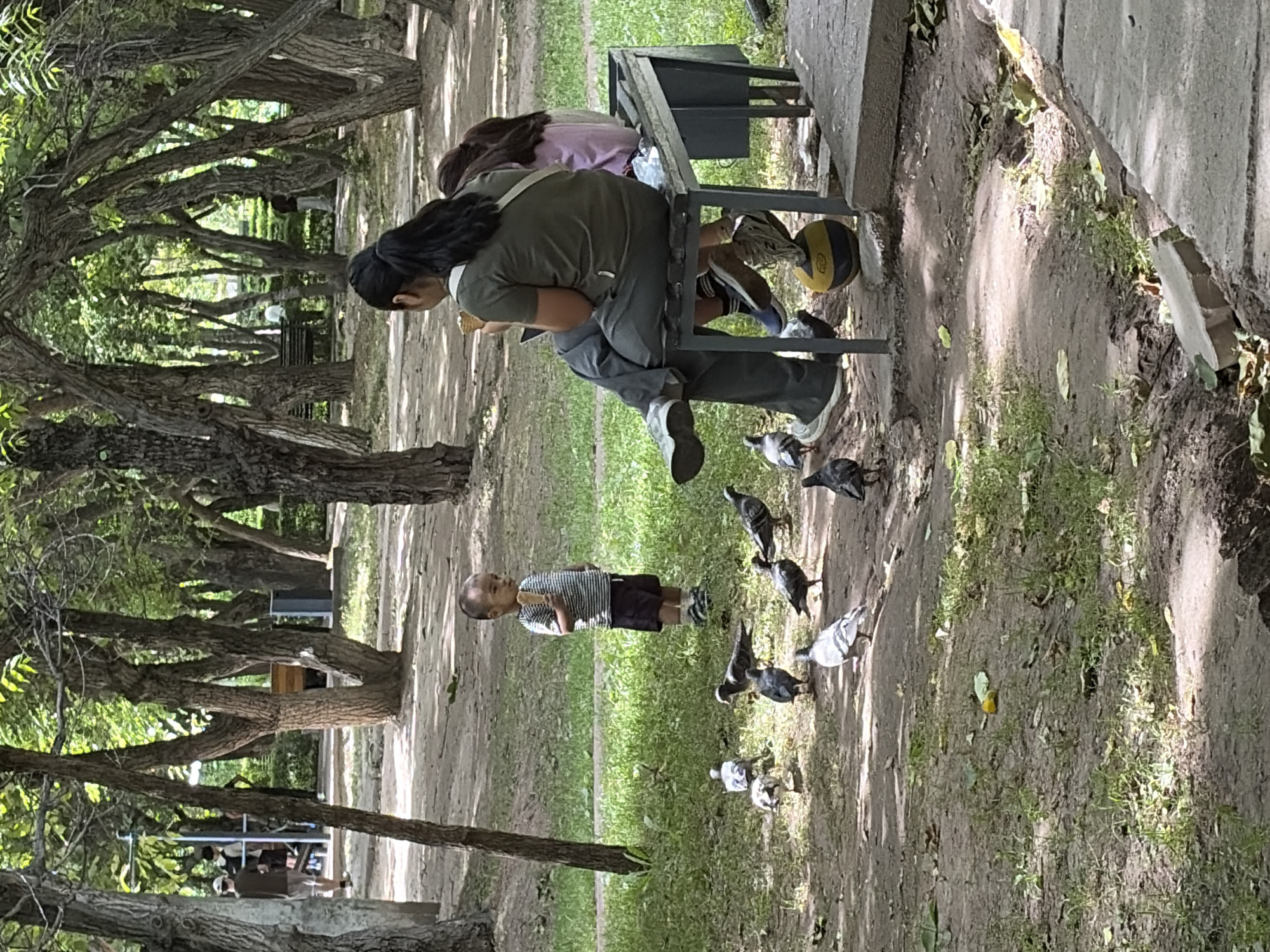 In an outdoor park setting in Unknown, Unknown, a young East Asian child stands on a patch of grass, holding an ice cream cone. The child is wearing a striped t-shirt and dark shorts. Around the child, several pigeons are gathered on the dirt ground. In the background, two individuals, a woman and a child, are seated on a metal bench. The woman is wearing dark pants and a greenish shirt, and the child beside her is wearing a light pink shirt. The environment is characterized by a dense arrangement of trees with thick trunks and a canopy of leaves casting dappled shadows on the ground. The ground is a mix of dirt and grass. A yellow and black ball is visible near the bench.