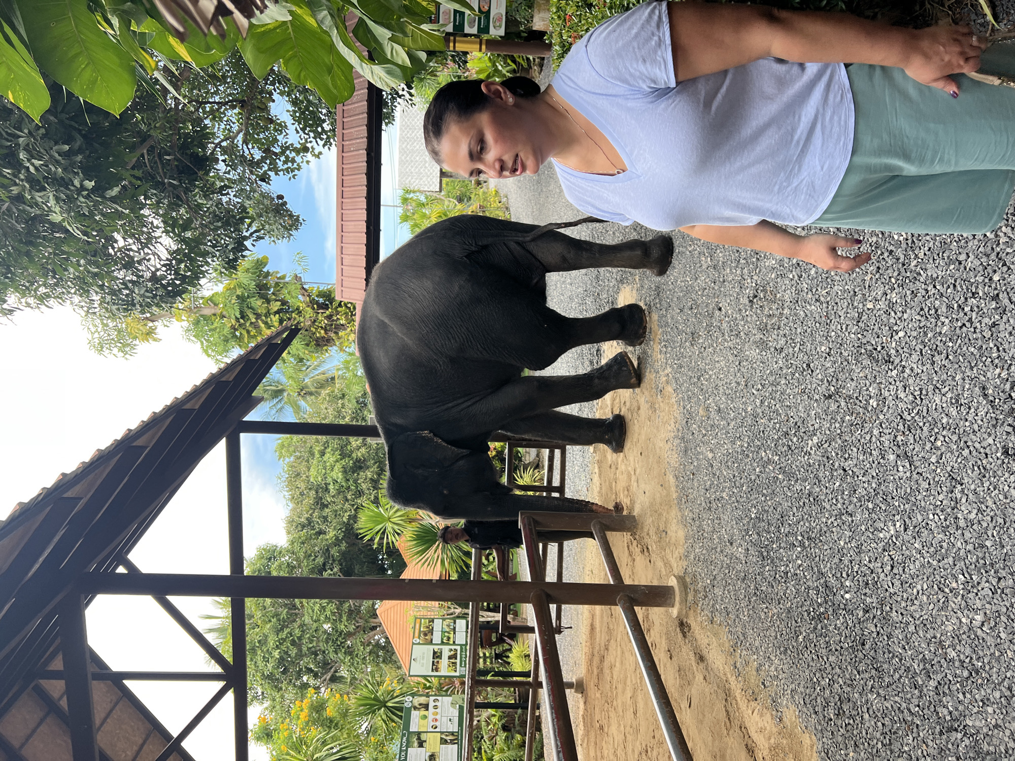 In Baan Thurian, Thailand, a woman in a light blue t-shirt and teal shorts stands in the foreground, facing right, with a slight smile. Behind her, a large gray elephant is walking away from the camera, towards a shaded enclosure. A man in a dark uniform stands near the elephant, appearing to be a handler. The ground is covered in gravel, and a wooden fence encloses the elephant's area. The background features lush green trees, palm trees, and buildings with reddish-brown roofs, suggesting a tropical environment. Information signs are visible on the left side of the enclosure. The overall scene depicts a visit to an elephant sanctuary or park.
