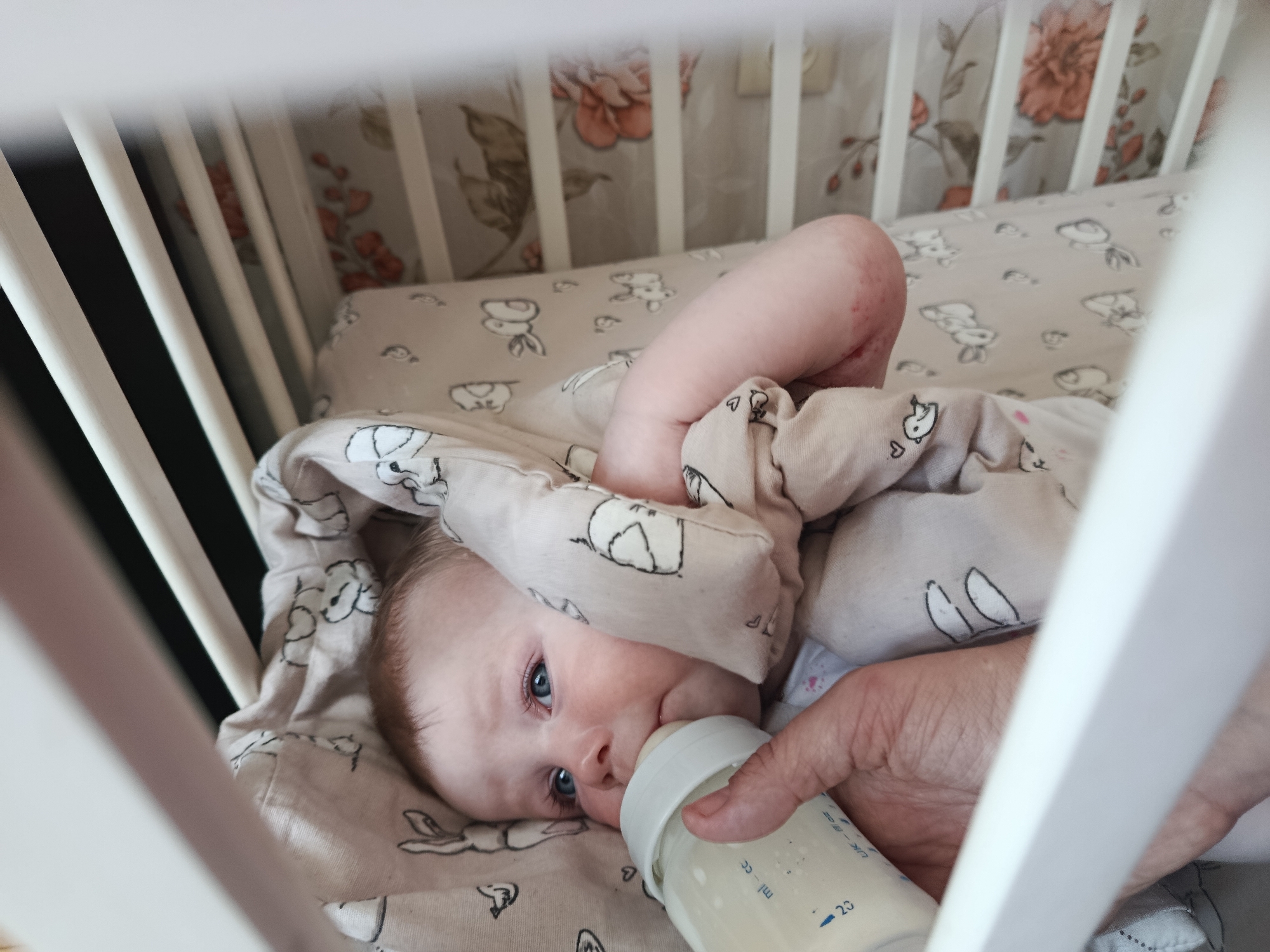 A baby is lying in a crib, being bottle-fed by an adult. The crib has white vertical slats. The baby is lying on a patterned sheet, and is partially covered with a matching blanket. The adult is holding a clear plastic bottle filled with a white liquid, likely formula or milk. The location cannot be determined from the image.