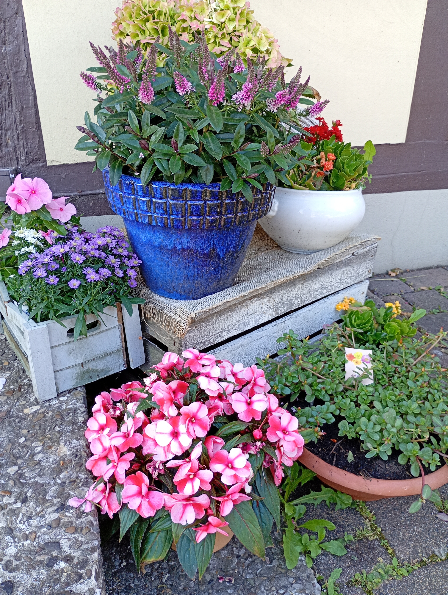 In front of a building with a light yellow facade and a dark brown wooden trim, a collection of potted plants is arranged on a light gray concrete surface and on wooden crates. The plants include a large blue pot with tall pink-spiked flowers and green leaves, a white pot with red and orange flowers and succulents, a light gray wooden crate filled with purple aster-like flowers and white small flowers, and pink impatiens in a terracotta pot. Behind these, partially visible, is a hydrangea plant with pale green and pinkish flowers. The scene appears to be an outdoor decoration, possibly a storefront or a residential entrance in Walkenried, Germany. No people are present.