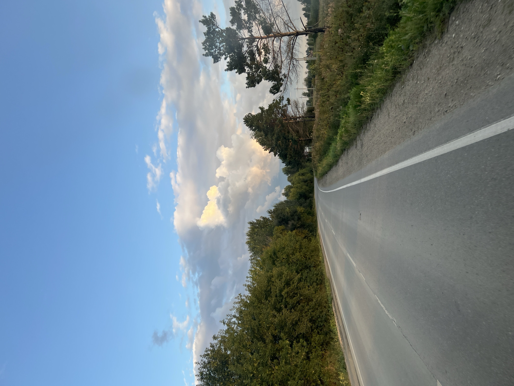 This is a vertical, eye-level, medium shot of a paved road curving through a rural landscape. The road, which has a white dividing line, stretches into the distance, disappearing around a bend to the left. The left side of the road is lined with dense, green trees. The right side of the road is bordered by a grassy verge and then a field of tall grass and wildflowers. In the distance, several tall pine trees stand on the right side of the road. The sky above is a clear blue with scattered white and gray clouds, some of which are illuminated by sunlight. The scene appears to be taken in the late afternoon or early evening. The location is identified as Mochishche, Russia.