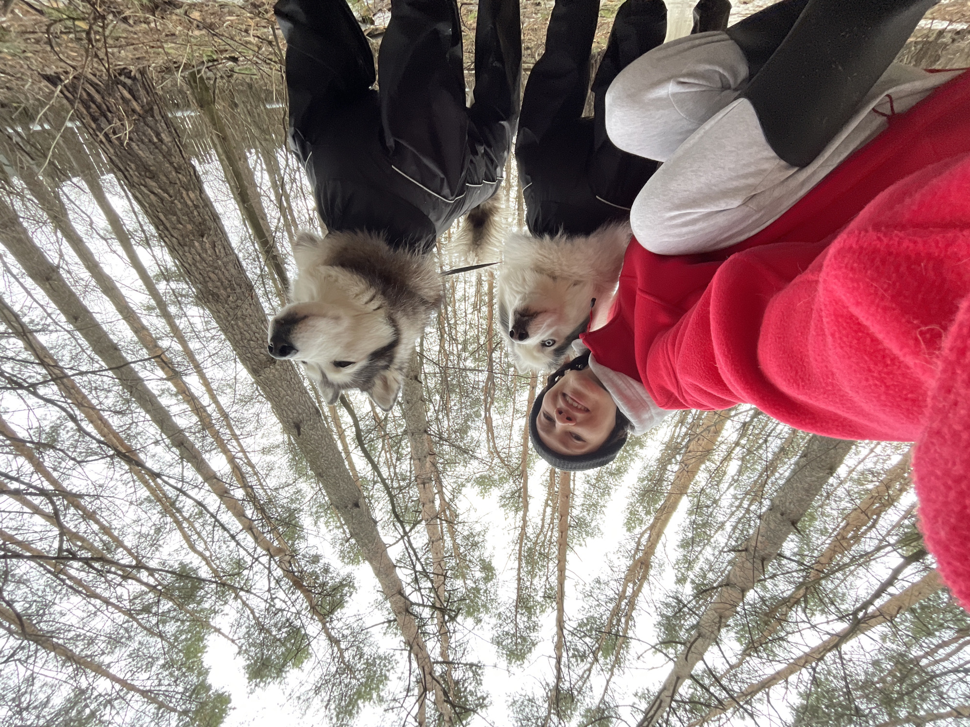 The image, likely taken in a forest setting, shows a person in a red hooded sweatshirt and another person in black pants and a black jacket, both with two dogs. The camera is oriented upward, revealing the trees above, indicating that the photo was taken from a low angle looking up. It is impossible to verify the exact location in the city of Izhevsk, Russia from the image alone.