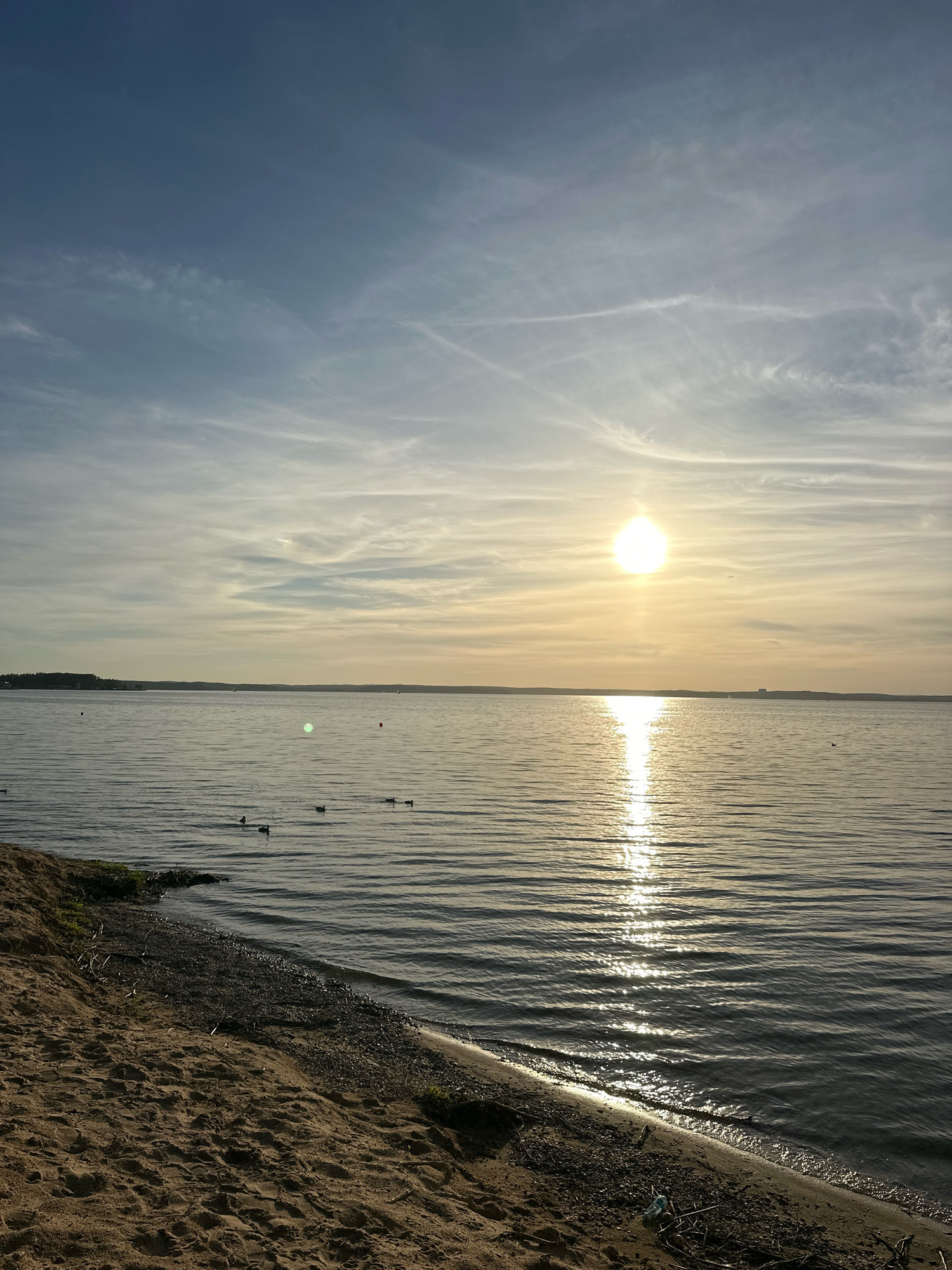 This image depicts a serene sunset over a wide body of water, likely a lake or reservoir, bordering a sandy beach. The sun, a bright orb positioned slightly right of center in the upper half of the frame, casts a shimmering golden path across the rippling water. The sky is a gradient of pale blue to soft yellow, with wispy, scattered clouds.
The foreground is dominated by a sandy embankment, textured with footprints and strewn with dry twigs and small stones. The water's edge is lined with a narrow strip of pebbles and some sparse green vegetation. Several ducks are visible swimming in a small flock on the water, closer to the shore. In the distance, a low, tree-lined horizon stretches across the frame, suggesting land. Two red buoys are present in the water, one to the left and one further to the right. A faint silhouette of buildings or structures is discernible on the distant shoreline, to the right of the sun. The overall scene conveys a peaceful, natural setting.
While the image doesn't explicitly identify the location within Ждановіцкі сельскі Савет, Belarus, the presence of a large body of water and a sandy shoreline is consistent with the natural landscapes found in rural areas surrounding Minsk, where the council is located. It's possible this is a popular recreational spot for locals.