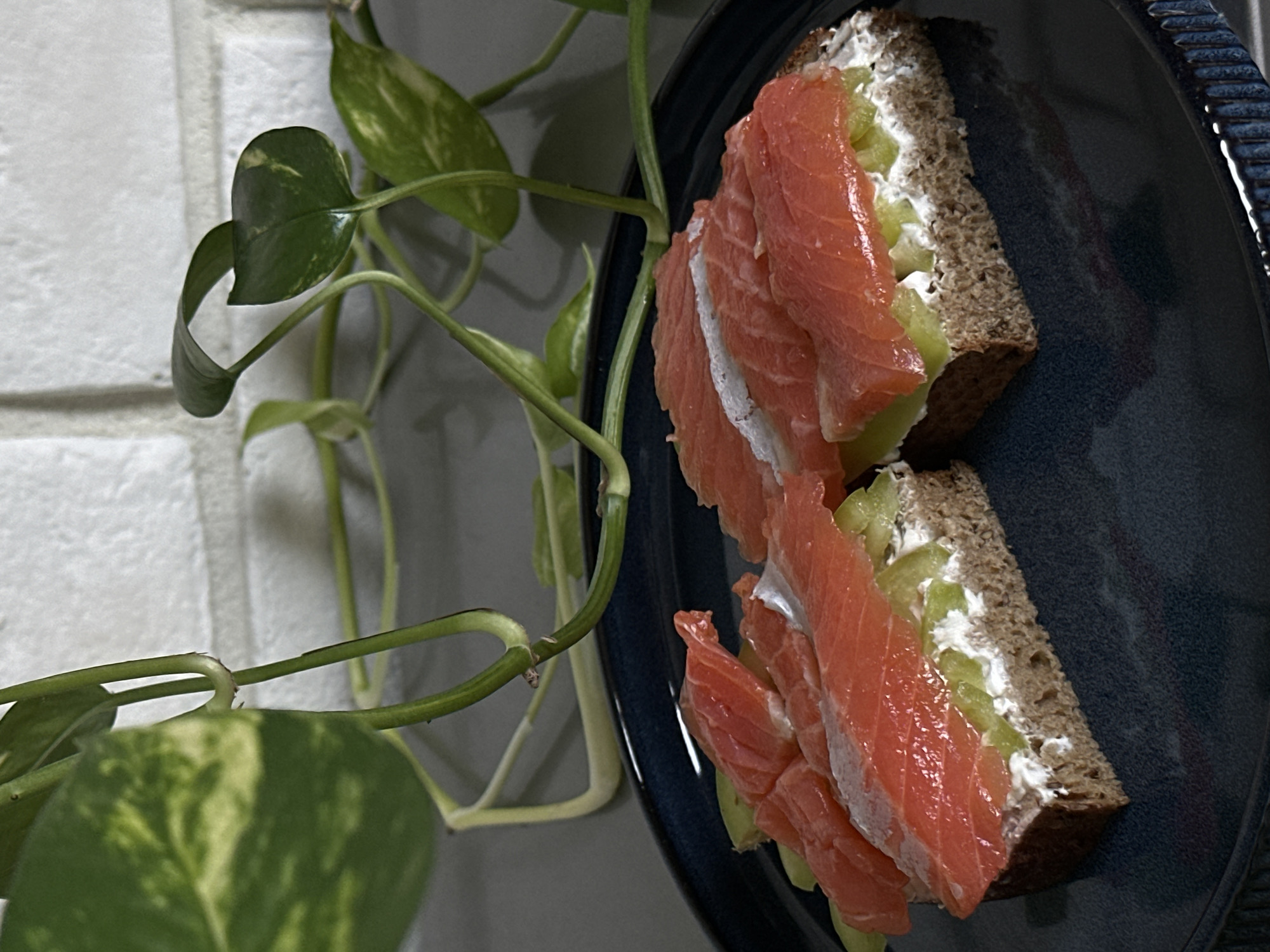 Two open-faced sandwiches sit on a dark blue plate. Each sandwich is made with a slice of dark bread, a layer of white cream cheese, thinly sliced green cucumber, and topped with slices of pink smoked salmon. In the background, a leafy green plant with vines hangs down, and a white brick wall is visible. The scene appears to be indoors, possibly in a domestic setting or a cafe, but there are no discernible landmarks or indicators of the city of Khimki, Russia.