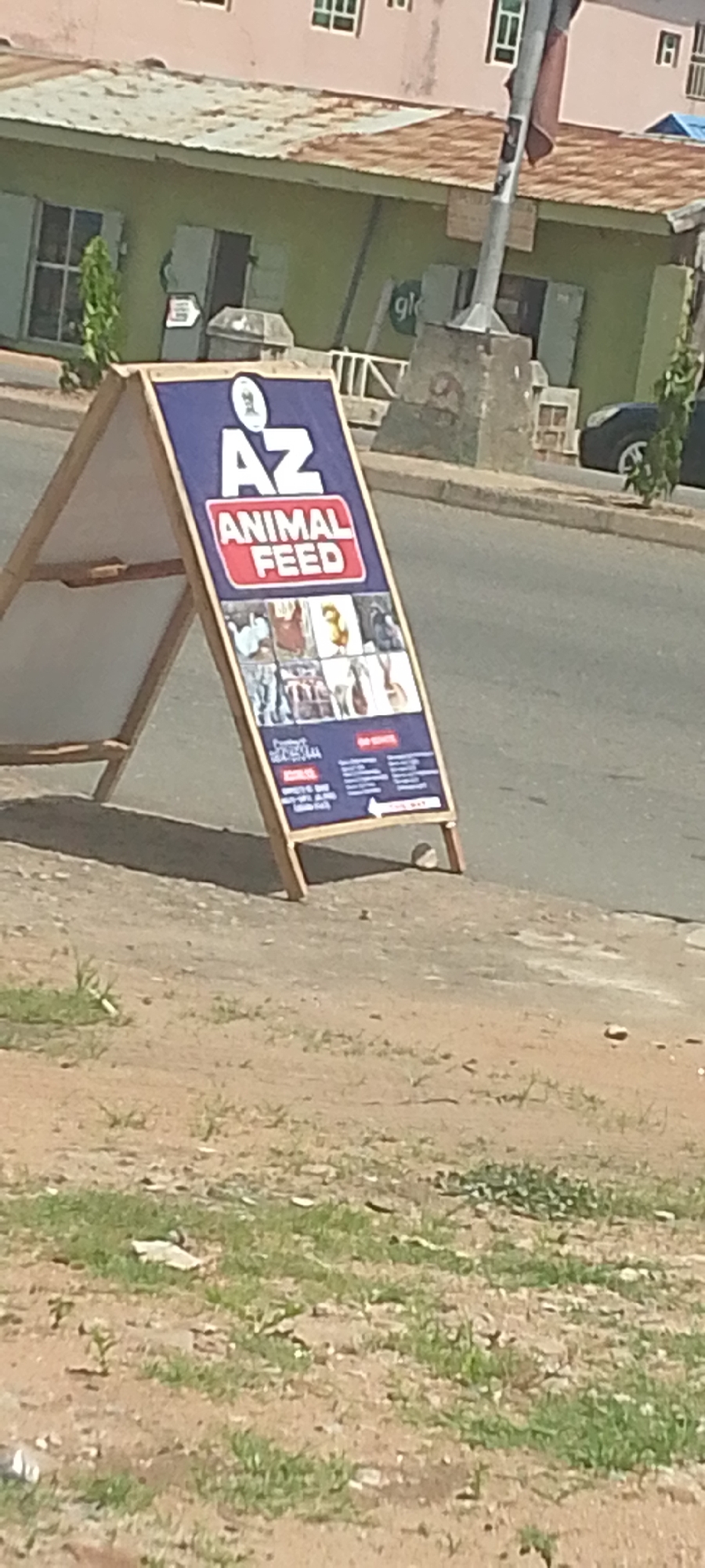 The image depicts an A-frame sign advertising "AZ ANIMAL FEED" placed on a dirt roadside in Jalingo, Nigeria. The sign is blue with white and red text and features images of various farm animals. Behind the sign, a green building with a corrugated metal roof is visible, along with a street light pole. A dark-colored car is parked on the street to the right of the sign. The ground in the foreground is covered with dry dirt and sparse vegetation. The scene appears to be an outdoor commercial area on a bright, sunny day.
