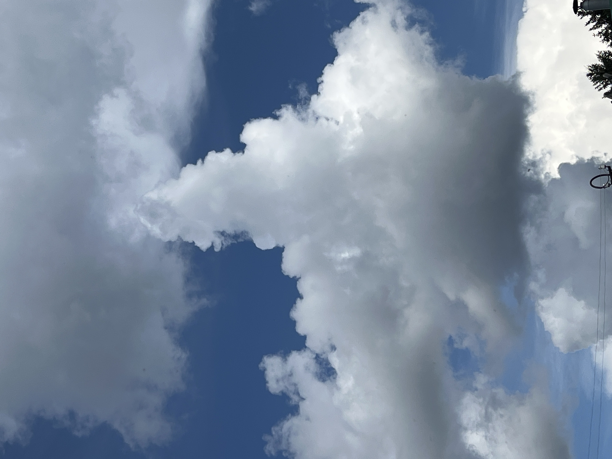 This is a vertical, eye-level, full-shot photograph of the sky above the city of Mochishche, Russia, captured on a bright, sunny day. The sky is a vibrant, clear blue, dotted with large, fluffy, cumulus clouds. The clouds are predominantly white, with some darker, grayish areas indicating their depth and density. One particularly large cloud formation in the center of the frame is shaped like a person's hand giving a thumbs up. In the lower portion of the image, the tops of several evergreen trees are visible, along with what appears to be power lines and a chimney. The scene conveys a sense of natural beauty and open space.