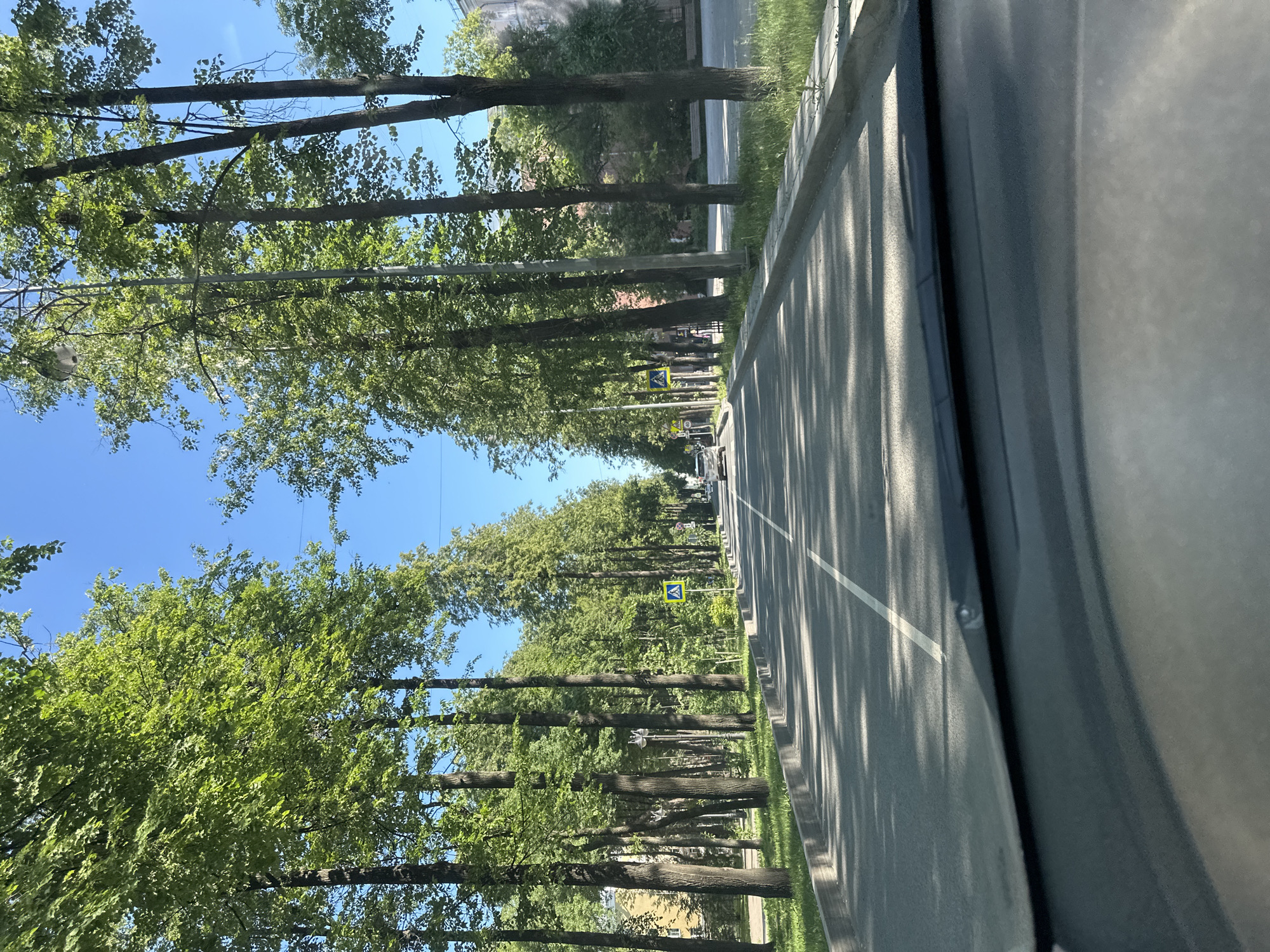 The image depicts a sunny day on a tree-lined street in Perm, Russia, viewed from the perspective of a vehicle's interior. The road is paved and divided by a white line, with a sidewalk and grassy area on the left. Tall trees with lush green foliage form an avenue along both sides of the street, casting shadows on the asphalt. A yellow pedestrian crossing sign is visible on the left side of the road. A few cars are present in the distance, driving in the same direction. The sky is clear blue. The overall impression is one of a peaceful urban environment on a clear summer day.