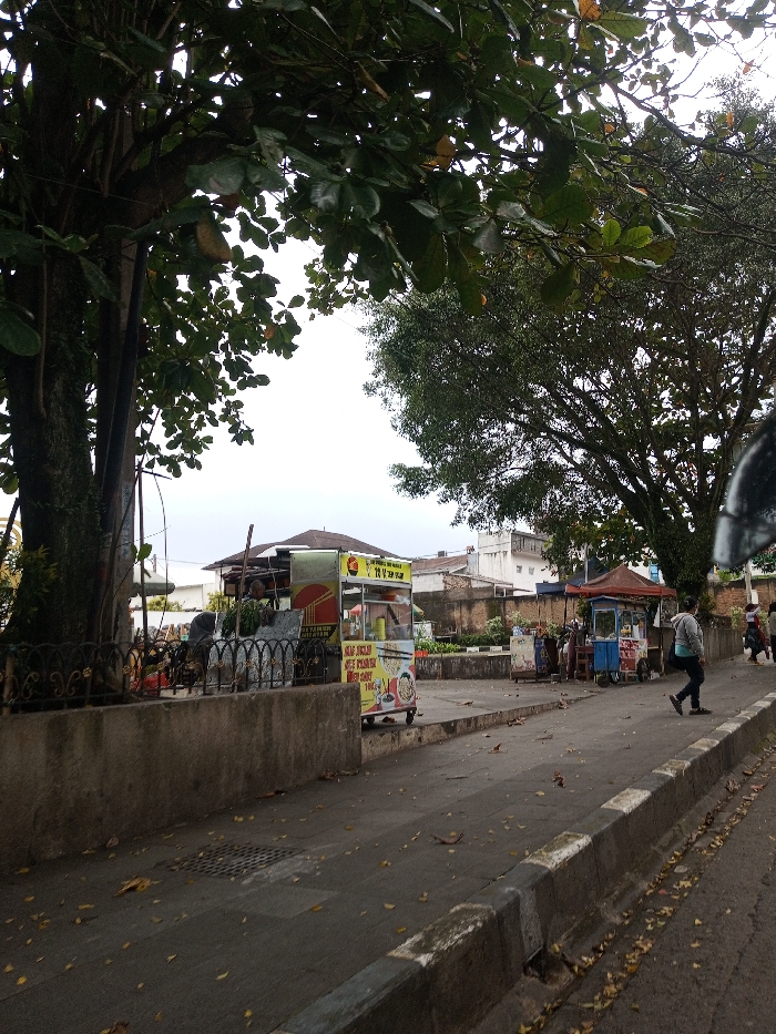 The scene is depicted as being in the city of Daringbadi, India, and portrays an outdoor urban environment under an overcast sky. The image foreground features a paved pedestrian area with scattered dry leaves, bordered on the right by a concrete curb separating it from a darker road surface. A metal grate drain cover is visible on the paved ground.
On the left, a large tree with dense green foliage and a thick, dark trunk dominates the frame. A low concrete wall with an ornate black metal fence runs across the mid-ground. Behind this fence, several informal structures are visible, including one with a tarp roof and exposed wooden supports.
A wheeled food cart, predominantly yellow and red with white accents, is centrally positioned on the paved area. Text on this cart, in an Asian script, features words such as 'MIE AYAM', 'BAKSO', and 'TEH', which are Indonesian terms for chicken noodles, meatballs, and tea, respectively. Further to the right, another food cart with a blue and red canopy is present, alongside additional smaller stalls.
In the mid-ground, a person wearing a grey hooded sweatshirt, dark pants, and dark shoes walks away from the viewer, moving from right to left on the paved surface. Another person is partially visible in the background near the stalls on the far right. Distant buildings, including a two-story structure with a brown roof and a white building with visible brickwork, are evident in the background, partially obscured by trees and other structures. Foliage from another large tree is visible on the upper right side of the image, partially obscuring a vehicle's mirror or part of the camera's apparatus in the extreme upper right corner.
