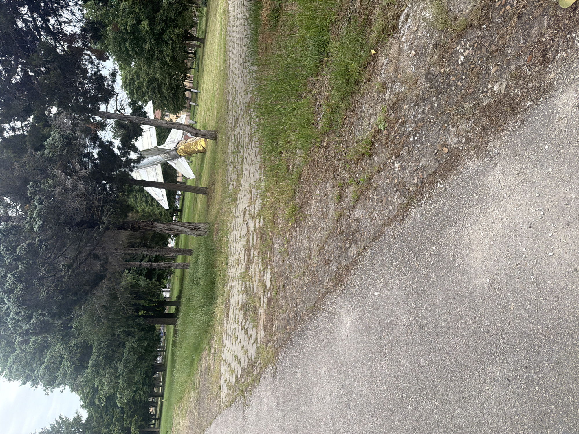 The image shows a MiG-21 fighter jet on display in a park in Dolna Mitropolia, Bulgaria. The jet is positioned behind a line of trees. The ground is covered in grass and a paved walkway. A section of an asphalt road is visible in the foreground.