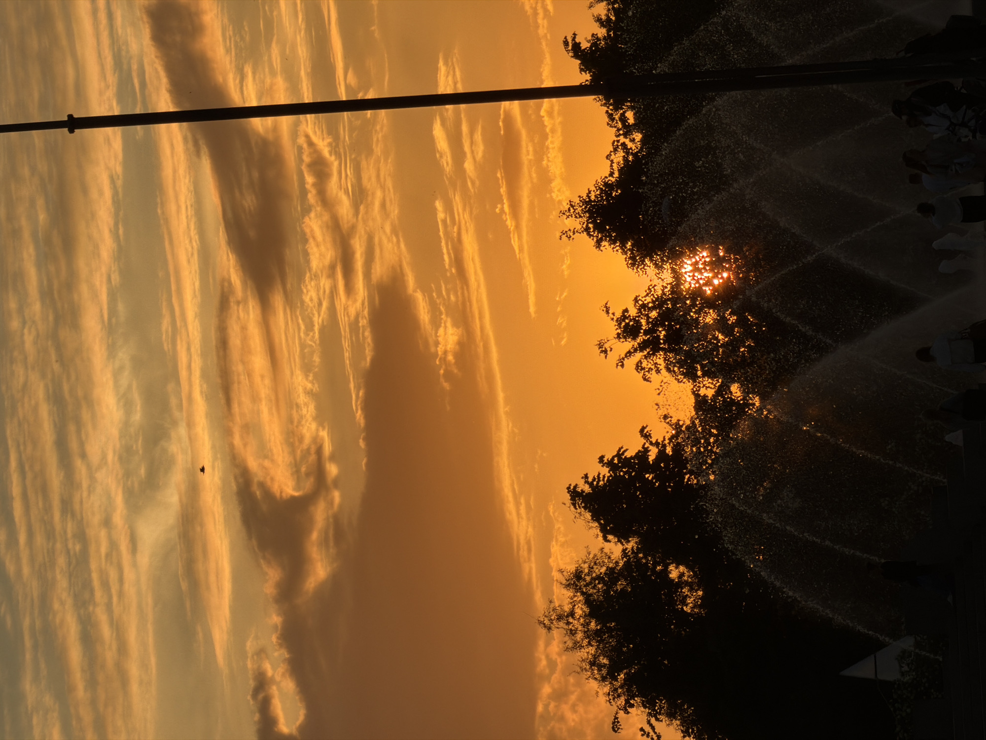The image captures a vibrant sunset in Saint Petersburg, Russia, casting a warm, golden-orange glow across the sky. The scene is oriented vertically, with the horizon running horizontally across the middle. Long, wispy stratocumulus clouds stretch across the expansive sky, reflecting the intense colors of the setting sun.
On the right side of the frame, dark silhouettes of dense tree foliage partially obscure the sun, which appears as a bright, star-like burst of light through the leaves. A tall, dark pole runs vertically along the left side, extending into the sky.
In the lower right portion of the image, several people are visible in silhouette, gathered around a large water feature, likely a fountain, which is spraying water into the air. The water spray catches the ambient light, creating numerous sparkling points. The figures of the people are dark against the brighter background, suggesting they are observing or enjoying the fountain and the sunset. A small, dark bird is seen flying high in the upper left quadrant of the sky.
The overall mood is peaceful and serene, depicting a beautiful evening outdoors. There is no visible text in the image.