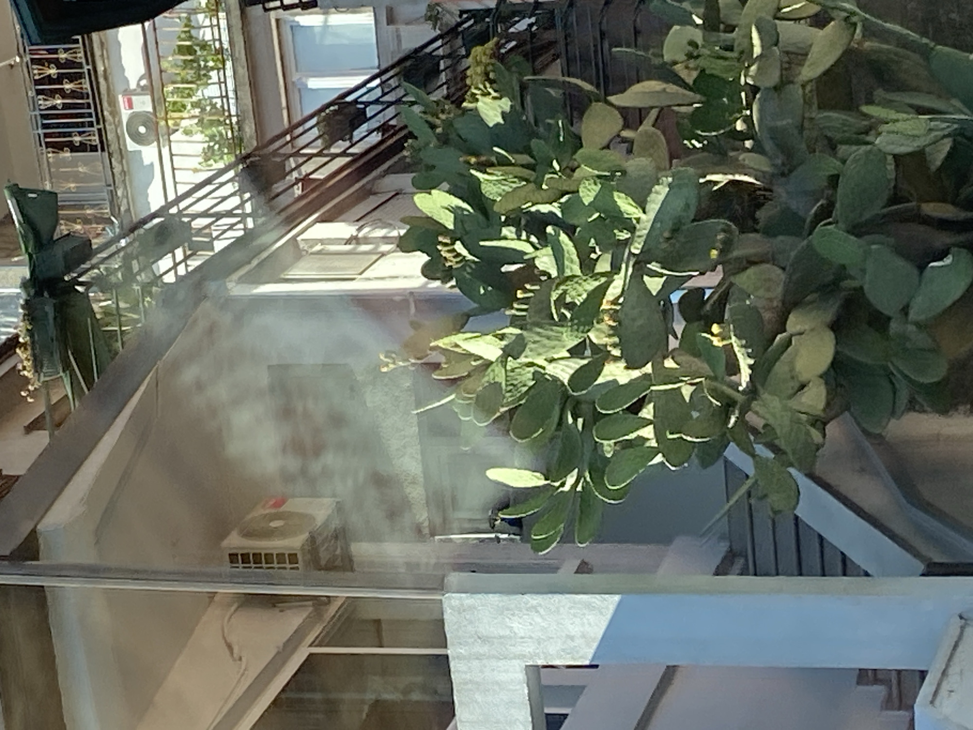 The image shows a partial view of a building in Meljine, Montenegro, as seen through a glass pane. The building appears to have multiple stories, with a metal railing visible on a balcony or terrace. A cactus is prominently featured in the foreground, partially obstructing the view of the building. An air conditioning unit is installed on the exterior wall of the building. Stairs lead up the side of the building.