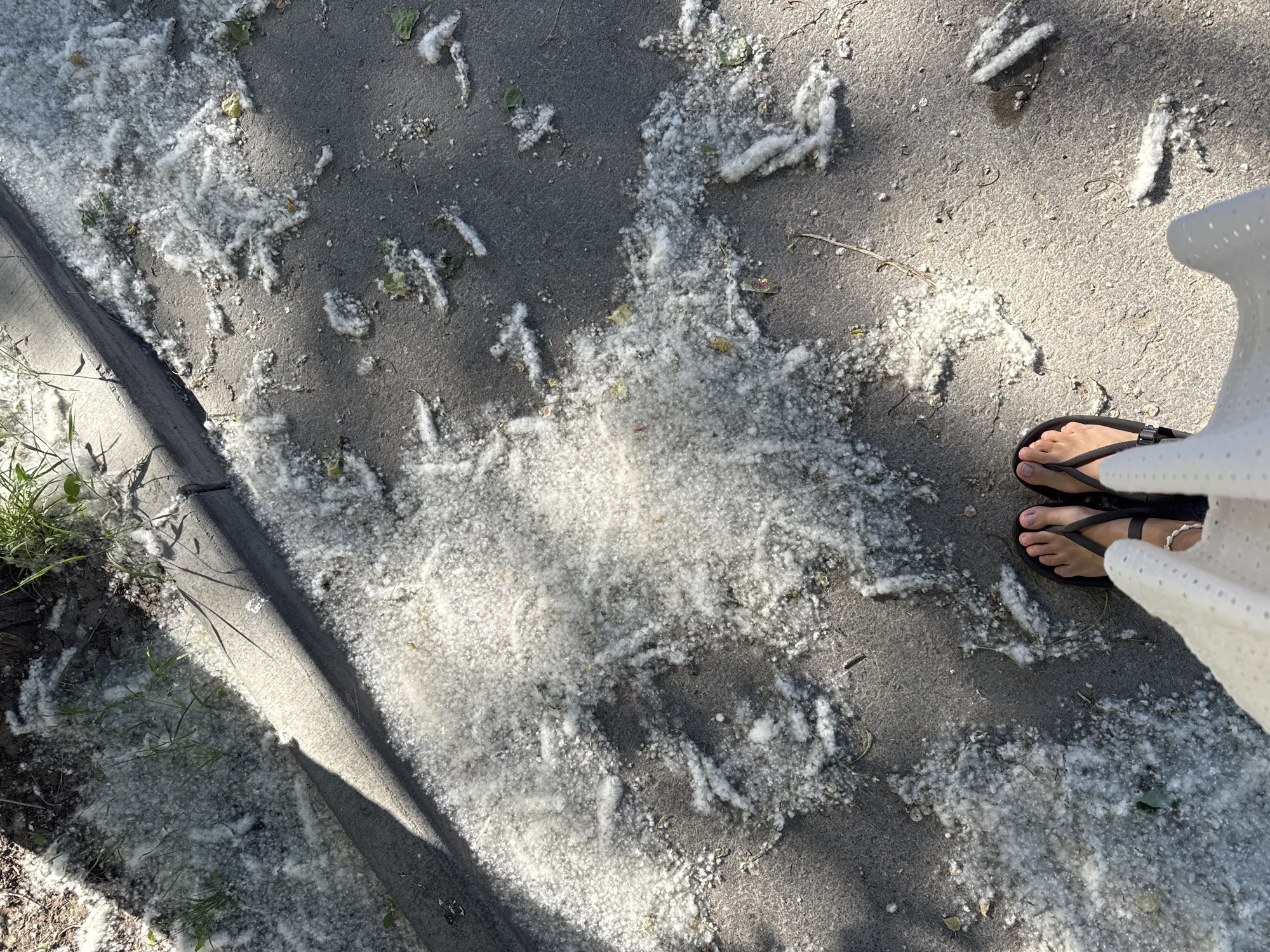 A top-down view captures a section of sidewalk covered in cottonwood fluff, interspersed with leaves and debris, typical of late spring. A woman stands on the sidewalk with her feet in black flip-flops and part of a white dress visible. The scene appears to be located in a city, evidenced by the concrete sidewalk. The location details within the city of Unknown, Unknown, cannot be determined from the image.