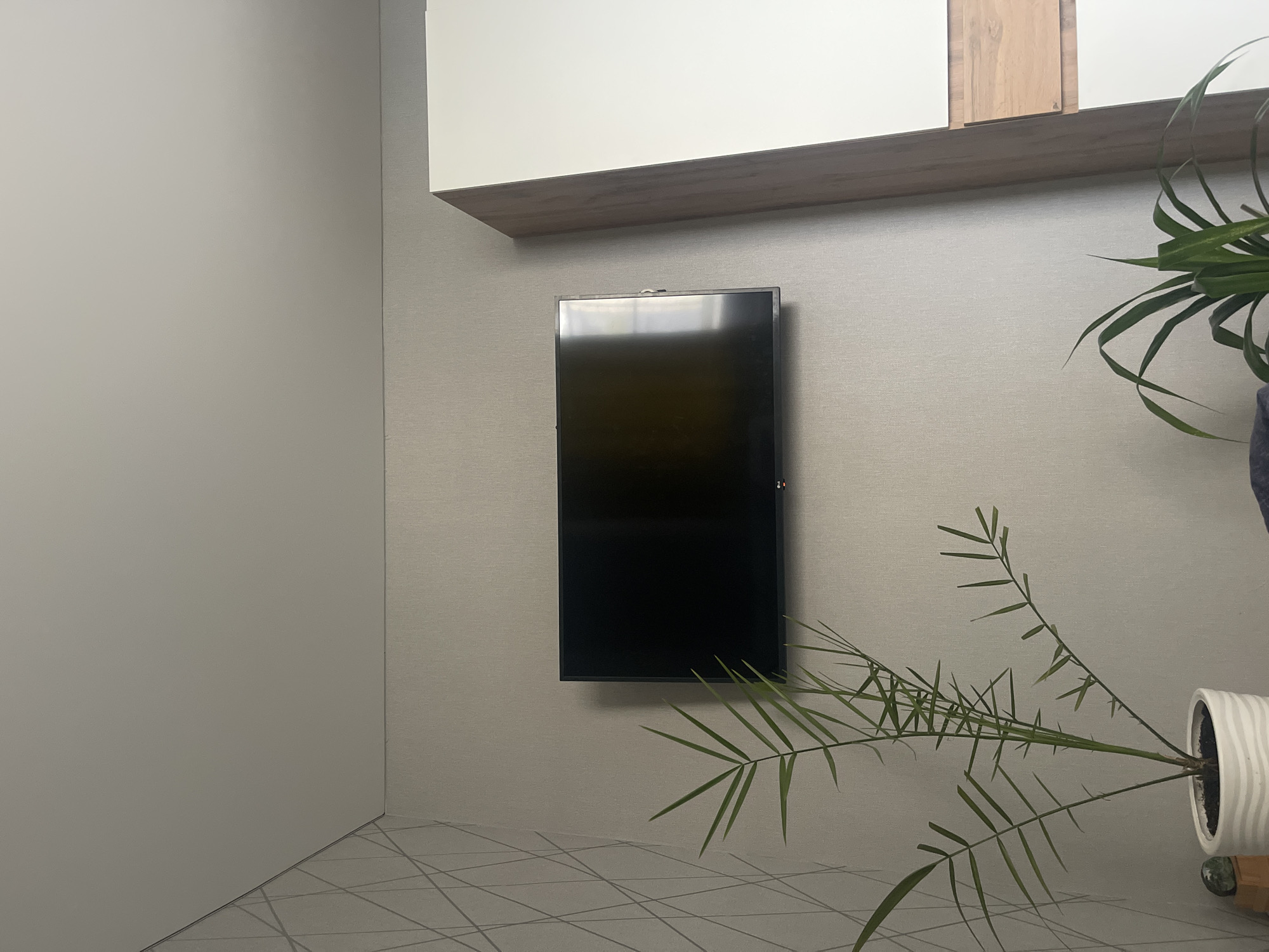 A flat-screen television is mounted on a textured gray wall. To the left of the television, a patterned wallpaper with intersecting gray lines is visible. In the foreground, a potted plant with long, slender green leaves is positioned to the left of the television. To the right of the television, a tall white cabinet with wooden accents is visible. The scene appears to be an indoor setting, possibly a living room or bedroom. The overall lighting suggests it is daytime, but the image quality is not high enough to definitively ascertain the location as Mesyagutovo, Russia.