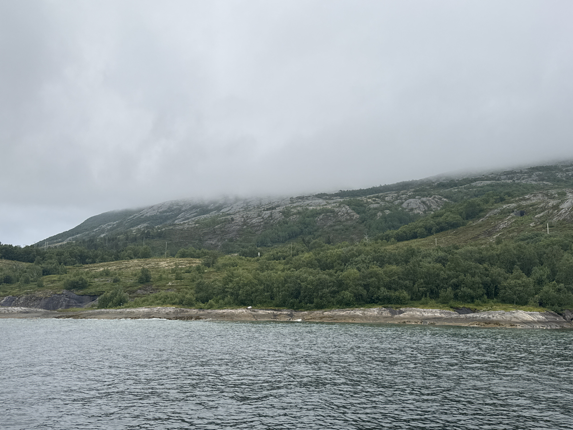 The image shows a body of water in the foreground, with ripples indicating a slight breeze. The water is a dark, grayish-blue. Beyond the water, a rocky shoreline with scattered vegetation and some larger boulders is visible. Behind the shoreline, a dense forest of green trees covers the lower slopes of a hill. The hill rises to a more barren, rocky peak, portions of which are obscured by a thick layer of fog or low-lying clouds. Power lines are visible running up the side of the hill in the upper left portion of the image. The sky is overcast and a uniform gray. The scene appears to be a natural landscape, likely in a coastal or fjord region. This view is consistent with the geography of Stokkvågen, Norway, which is characterized by its proximity to the coast, hilly terrain, and frequent fog. There are no people or discernible man-made structures beyond the power lines.