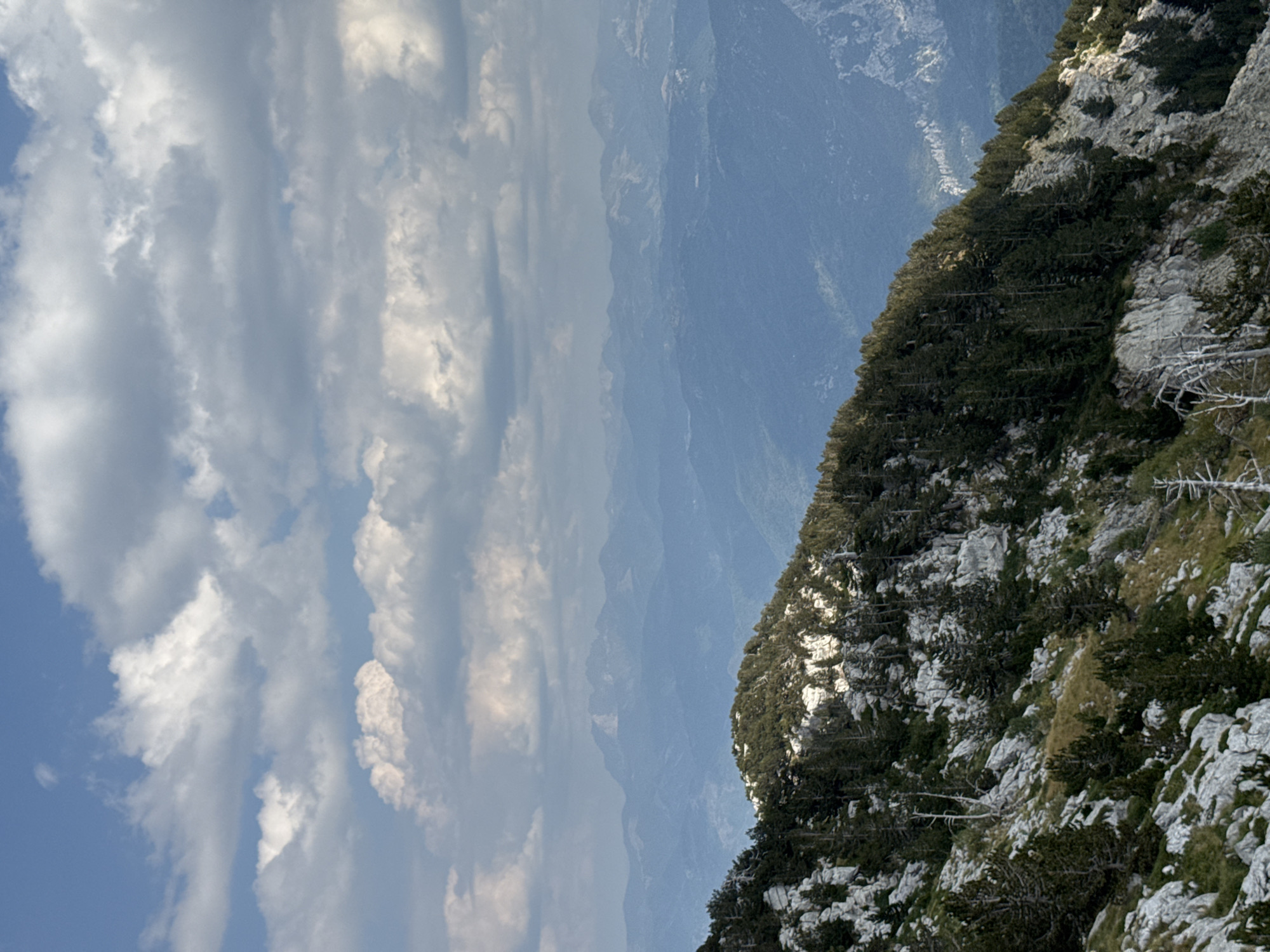 This image depicts a mountainous landscape with a dense forest covering a steep slope. The foreground features rugged, rocky terrain interspersed with scattered pine trees, some of which appear dead and weathered. The trees are predominantly dark green, creating a stark contrast against the lighter grey rocks and patches of dry grass.
The middle ground shows a series of undulating mountain ranges receding into the distance. These ranges are covered in a lighter green vegetation, and their outlines become increasingly blurred and bluish due to atmospheric perspective.
The sky above is partly cloudy, with a mix of white and grey cumulus clouds against a clear blue sky. Sunlight illuminates parts of the forest slope and the clouds, suggesting it is daytime, possibly late afternoon given the angle of the light.
The scene is devoid of any human presence or activity. The location is Mrtvo Duboko, Montenegro, a region known for its mountainous terrain. The overall impression is one of a wild, natural environment with a sense of rugged beauty and remoteness.