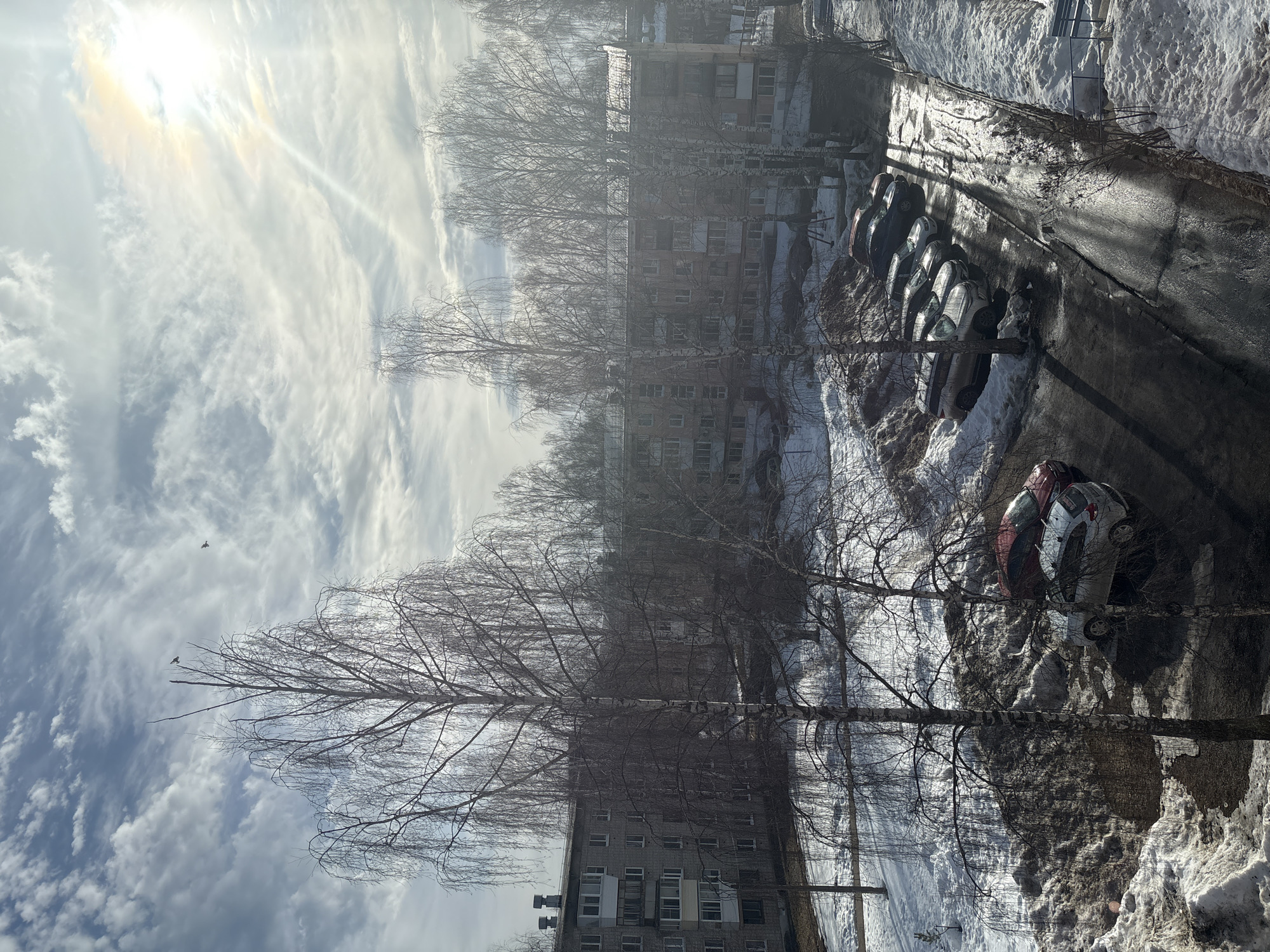 This image captures an elevated view of a residential area in Chaikovsky, Russia, likely during late winter or early spring. The scene is illuminated by a strong, bright sun positioned in the upper right quadrant of a partially cloudy sky, featuring both wispy cirrus and denser stratocumulus formations. Sun rays and lens flare are visible emanating from the sun. Two dark-colored birds are present in the sky: one is perched on the bare uppermost branch of a tall birch tree in the upper left, and another is in flight further to the right.
The mid-ground and background are dominated by several multi-story residential buildings, appearing to be constructed of grey or light brown material, with multiple windows and some enclosed balconies. These structures are partially obscured by numerous deciduous trees, predominantly birches, which are entirely bare of leaves.
The foreground and ground areas are covered with significant patches of melting snow, appearing dirty and interspersed with areas of exposed dark earth or mud. A dark, wet asphalt driveway or parking lot is visible on the right side, with a noticeable sheen from moisture. Six cars are parked along this surface: a silver SUV, a dark grey sedan, a silver hatchback, a dark blue sedan, another dark grey sedan, and a red sedan. A large pile of dirty snow and earth is situated to the left of the parked cars. A blue public bench is partially visible in the far right, partially covered in snow. A small playground structure, possibly a set of swings, is discernible behind some trees and parked cars in the mid-ground. No people are visible within the frame.