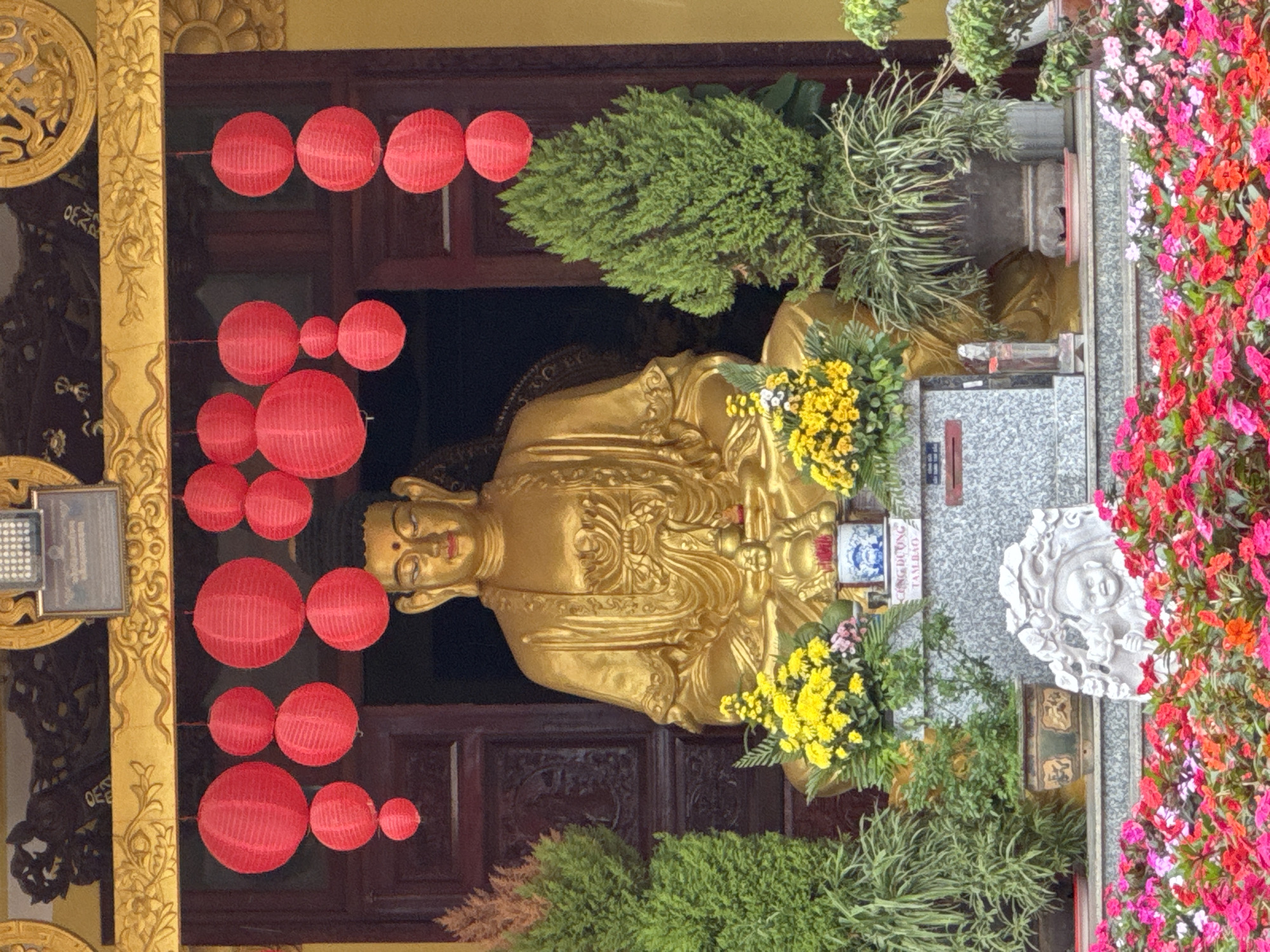 The image captures a shrine in Da Lat, Vietnam, featuring a large, golden Buddha statue seated in a meditative posture. The statue is adorned with golden robes and has a serene expression. Red paper lanterns are strung above the Buddha, adding a festive and spiritual ambiance. Flanking the Buddha are lush green plants and arrangements of vibrant yellow flowers. In the foreground, a bed of colorful flowers, primarily in shades of pink and red, adds a touch of natural beauty to the scene. A small, intricately carved stone sculpture of a child holding a lotus flower is visible among the flowers. The shrine appears to be part of a larger temple complex, with decorative golden architectural elements visible in the background.