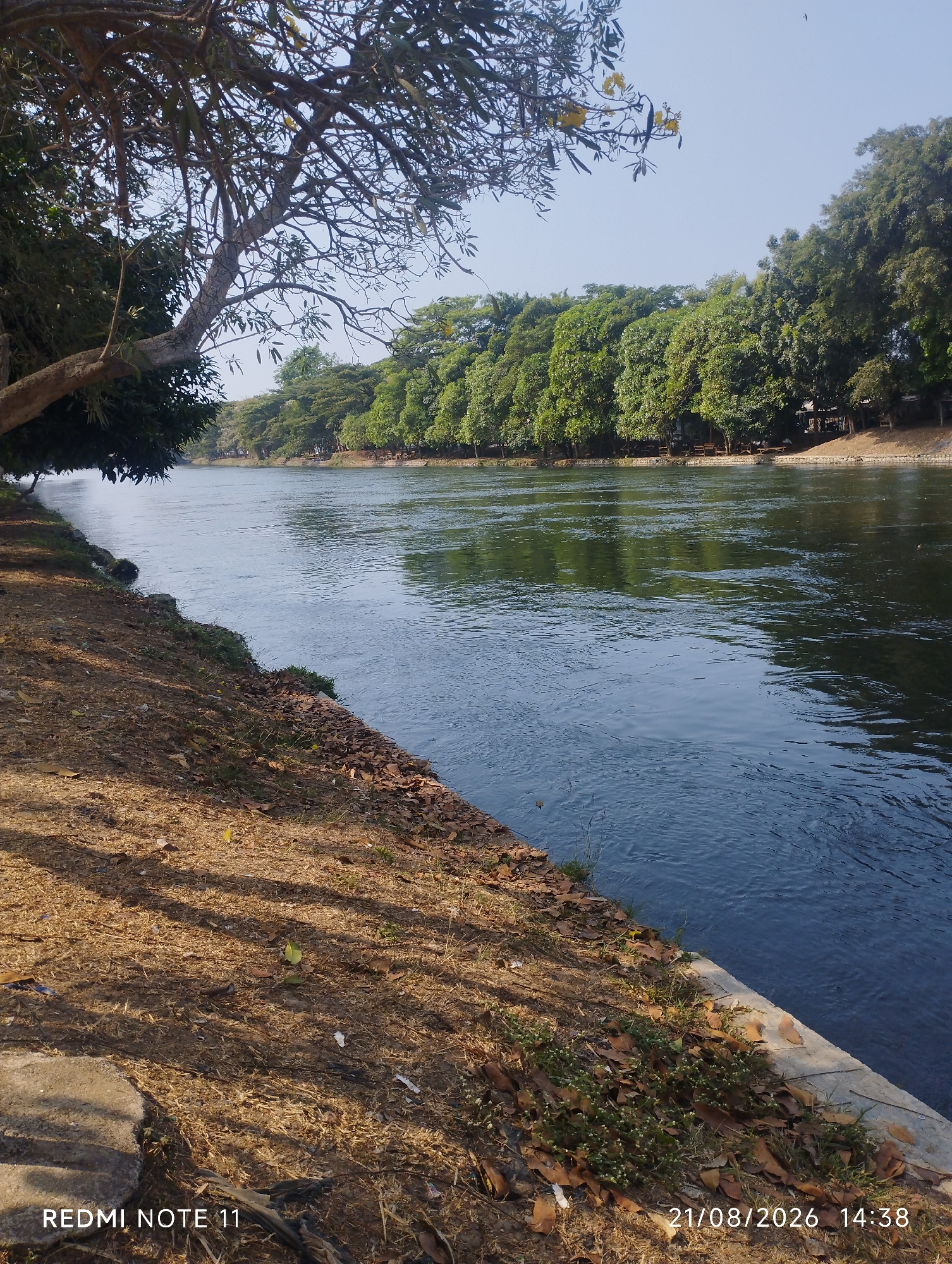 A wide, calm river flows through a park in Karawang, Indonesia. On the left bank, a tree with bare branches and a few yellow flowers overhangs a grassy, dry ground covered with fallen leaves and debris. The river's surface reflects the trees and sky. The right bank is lined with lush green trees and a few wooden benches, suggesting a recreational area. The sky is clear blue. The date and time stamp "21/08/2026 14:38" and "REDMI NOTE 11" are visible in the bottom left and right corners.