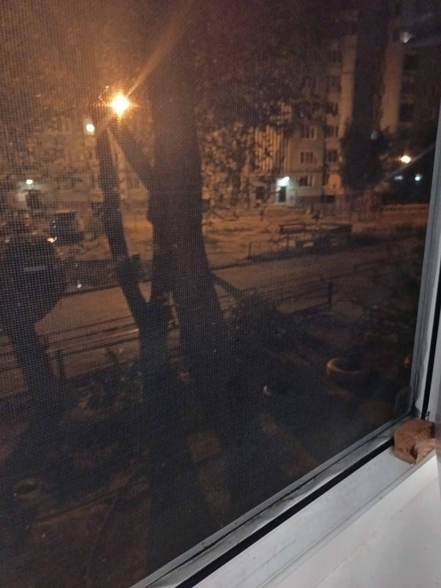 The image captures a nighttime view through a window screen, likely from an apartment building in Astrakhan, Russia. The scene outside is dimly lit by streetlights and interior building lights, creating an atmospheric and somewhat obscured view.
In the foreground, the mesh of the window screen is clearly visible, distorting the scene beyond. A large tree trunk is a prominent feature, casting shadows and partially obscuring the background.
Beyond the tree, apartment buildings with illuminated windows are visible. One building in particular appears to be several stories high with multiple rows of windows. The ground area outside seems to be a courtyard or residential street, with some scattered objects that are difficult to identify precisely due to the low light and the screen. There are indications of benches or other seating structures.
A single, reddish-brown object, resembling a piece of brick or tile, rests on the windowsill in the lower right corner of the image. This object is the only clearly defined item in the immediate foreground.
The overall impression is one of a quiet, ordinary urban night scene, with the view filtered and softened by the window screen. There are no visible individuals or animals in the frame. The setting appears to be a residential area, typical of many cities.