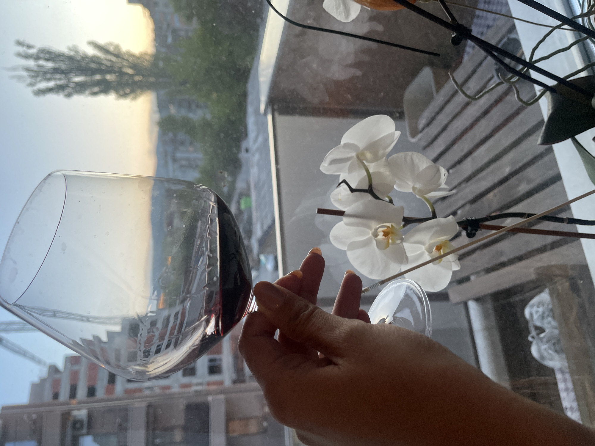 A medium shot depicts a hand holding a wine glass filled with red wine. The background reveals a window with a view of a cityscape during the day. In the foreground, white orchid flowers are visible. The city appears to be Unknown, Unknown.