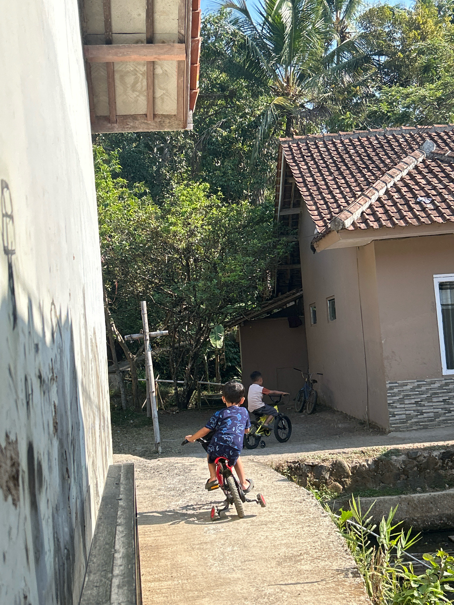 In the village of Cihaurbeuti, Indonesia, two young boys are engaged in outdoor play. The scene is dominated by a residential building with a tiled roof and a light brown exterior. Adjacent to it, a white wall of another structure casts a shadow. In the foreground, one boy is riding a red bicycle equipped with training wheels, his back to the camera. He is wearing a dark blue t-shirt with a pattern and dark shorts. Further in the background, another boy on a yellow bicycle, wearing a white t-shirt and shorts, is also visible. Behind the boys, lush green trees and foliage create a natural backdrop, with a coconut palm tree towering above. A wooden cross structure stands to the left, amidst the greenery, and a narrow concrete path connects the two structures. A small ditch with some vegetation runs along the edge of the path.