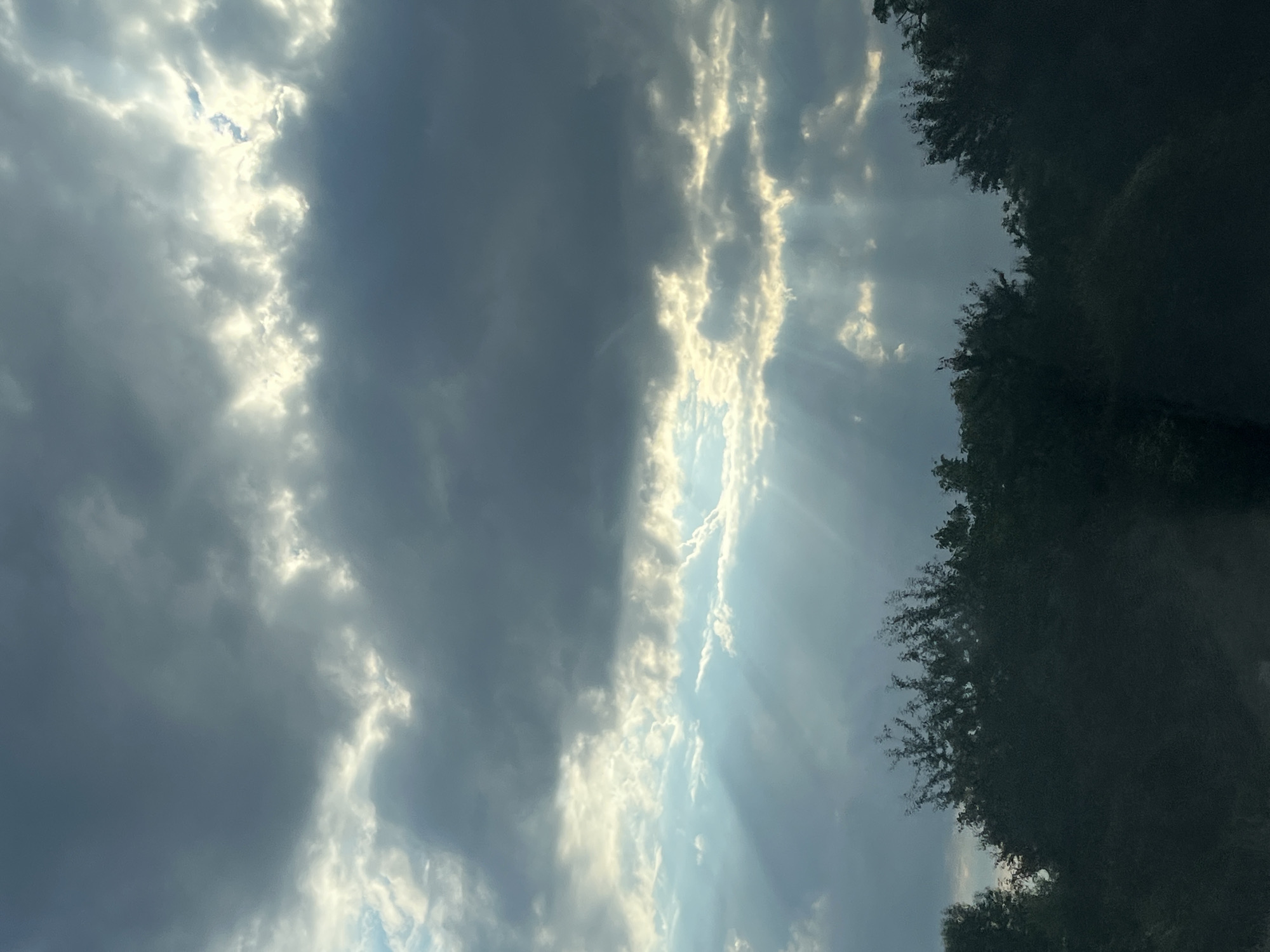 The image captures a dramatic sky with dark, heavy clouds partially obscuring the sun. Beams of light, often referred to as crepuscular rays, pierce through the clouds, illuminating patches of the sky and creating a striking contrast. The lower portion of the image is dominated by a dense line of dark green trees, silhouetted against the brighter sky. The overall impression is one of a dynamic and moody atmospheric condition, possibly indicative of an approaching storm or the aftermath of one. The location is given as Unknown, Unknown.