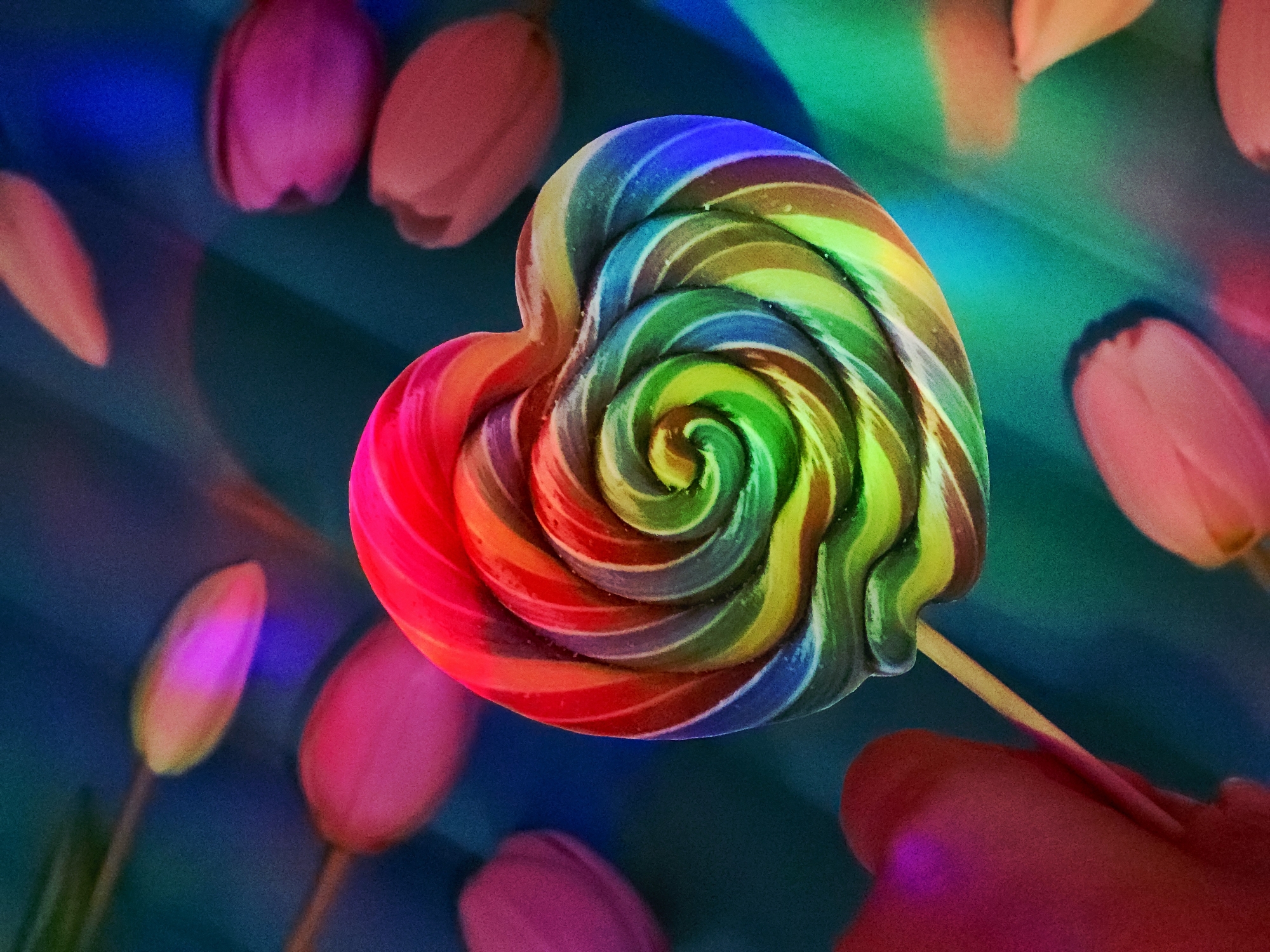A brightly colored heart-shaped lollipop dominates the image against a blurred background of pink tulips. The lollipop features a swirl of colors ranging from red to blue, yellow, and green. The tulips are out of focus, creating a bokeh effect. The location and city are unknown.