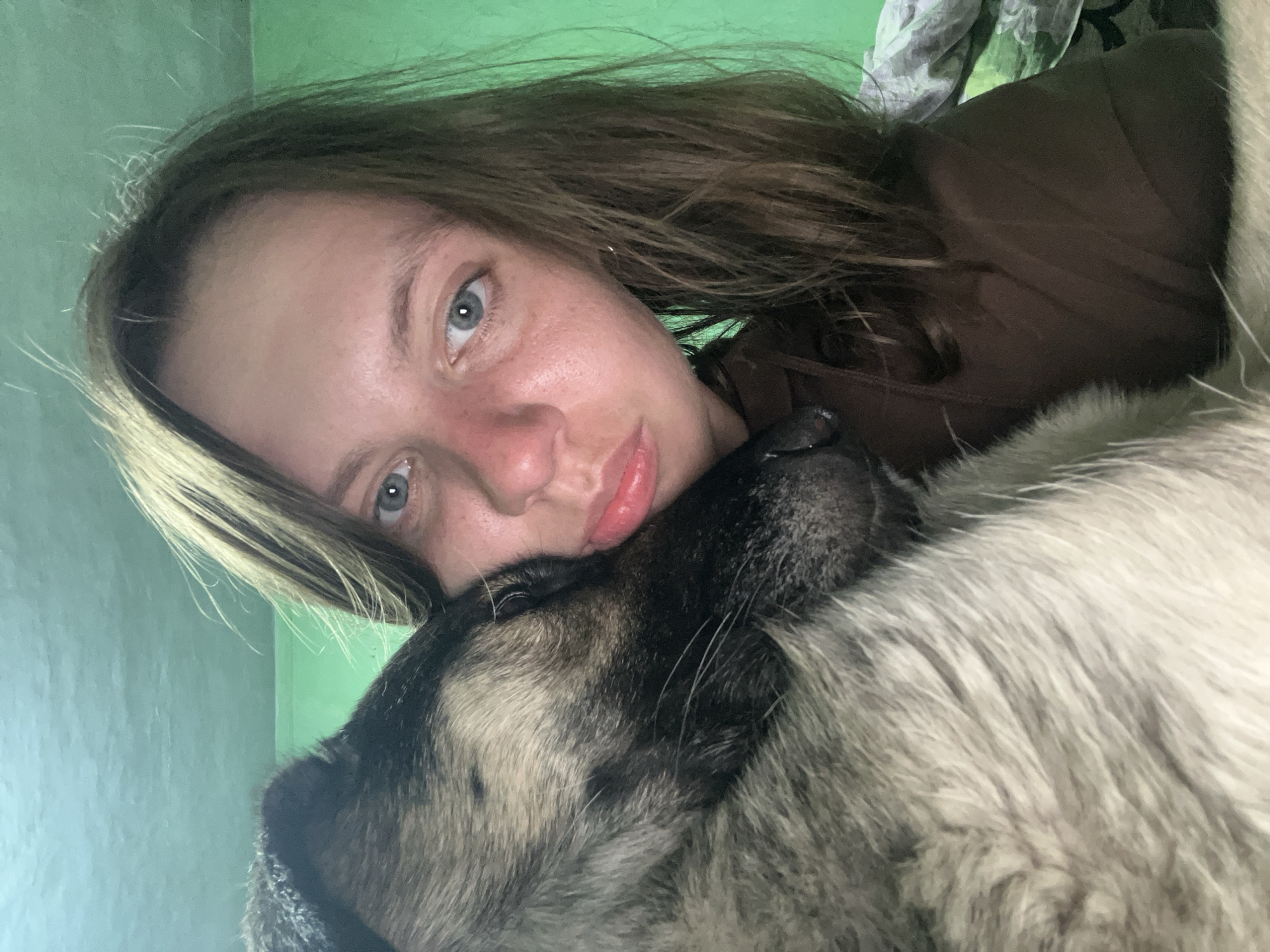 The image presents a close-up, informal portrait of a young person and a large dog sharing a moment of affection. The person, likely female, has long brown hair with lighter, possibly blonde, streaks, and striking blue eyes. Her complexion is light, with visible freckles, and her cheeks appear flushed. She is wearing a brown long-sleeved top or hoodie and looks directly at the viewer with a soft, gentle, and contented expression.
Cuddled closely beside her, with its head resting against her face, is a large dog, resembling a husky or similar breed. Its dense fur displays a mix of grey, black, and creamy-white tones. The dog's eye is partially visible, and its posture indicates a state of comfortable relaxation.
The background is simple, featuring a plain, light-green wall, suggesting an indoor domestic setting. A hint of crumpled fabric, possibly a blanket, is visible in the upper right corner. The overall scene conveys a strong sense of companionship, warmth, and peaceful intimacy between the person and their pet. The time of day and outdoor weather are not discernible. No text is visible in the image. The location context for the photo is Nizhny Tagil, Russia.
