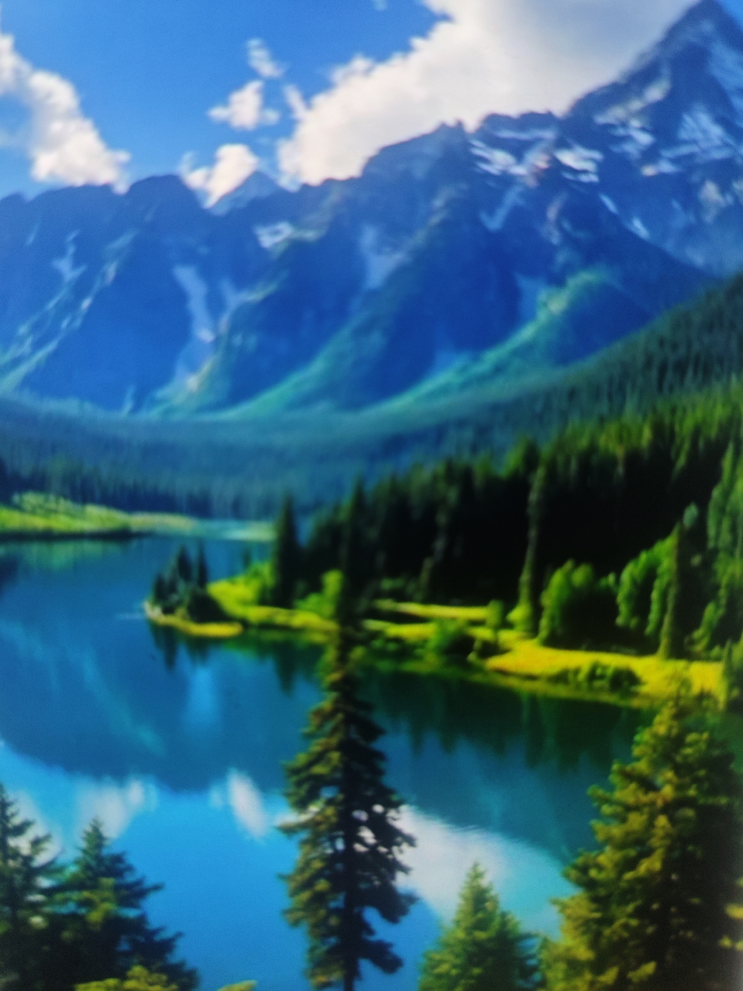 The image depicts a picturesque natural landscape. Towering, snow-capped mountains dominate the background, with deep blue skies and scattered white clouds above. In the mid-ground, a dense forest of dark green pine trees covers rolling hills. A serene blue lake stretches across the lower half of the image, reflecting the surrounding mountains and trees. Lush green meadows with patches of yellow wildflowers are visible along the lake's edge and on the lower slopes of the mountains. The overall scene evokes a sense of tranquility and natural beauty, suggestive of a wilderness area. This specific image is not located in the city of Krasnaya Polyana, Russia, as it does not contain any discernible urban elements or specific landmarks of that city.