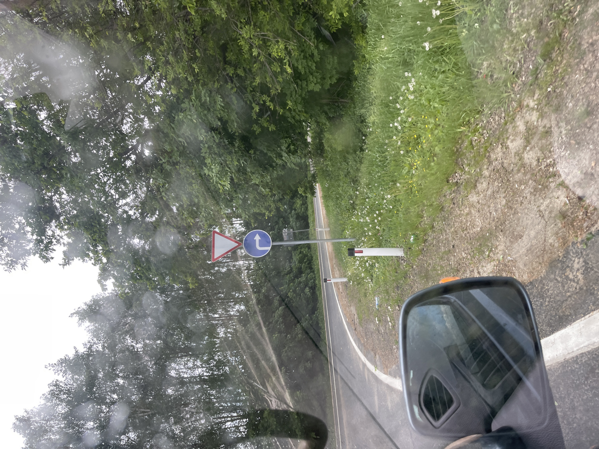 The image shows a view from inside a vehicle, likely a car or truck, looking out through the windshield. It appears to be raining or the windshield is wet. The vehicle is on a paved road, possibly in a rural or semi-rural setting. The road curves slightly to the left. On the right side of the road, there is a roadside with grass and flowers. Road signs are visible, one triangular with a red border and white interior (likely a warning sign) and one circular with a blue background and a white arrow pointing left. There are also some white posts or reflectors along the road. A side mirror of the vehicle is visible in the bottom right corner of the image.
Based on the location provided, the scene is likely in or near Петрово, Russia, though the specific details like building types or commercial signs that would confirm a precise location are not visible.
