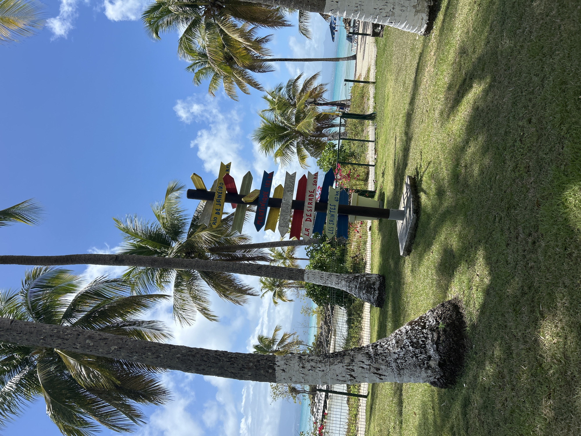 The image depicts a tropical scene at an indeterminate location. In the foreground are several palm trees, their lower trunks painted white. A signpost displaying various destinations in different colors and directions is visible in the midground. Behind the signpost is a wire fence separating the manicured green grass from a beach with turquoise water. The sky above is bright blue with scattered white clouds. The overall setting evokes a tourist destination, possibly in a Caribbean island.
