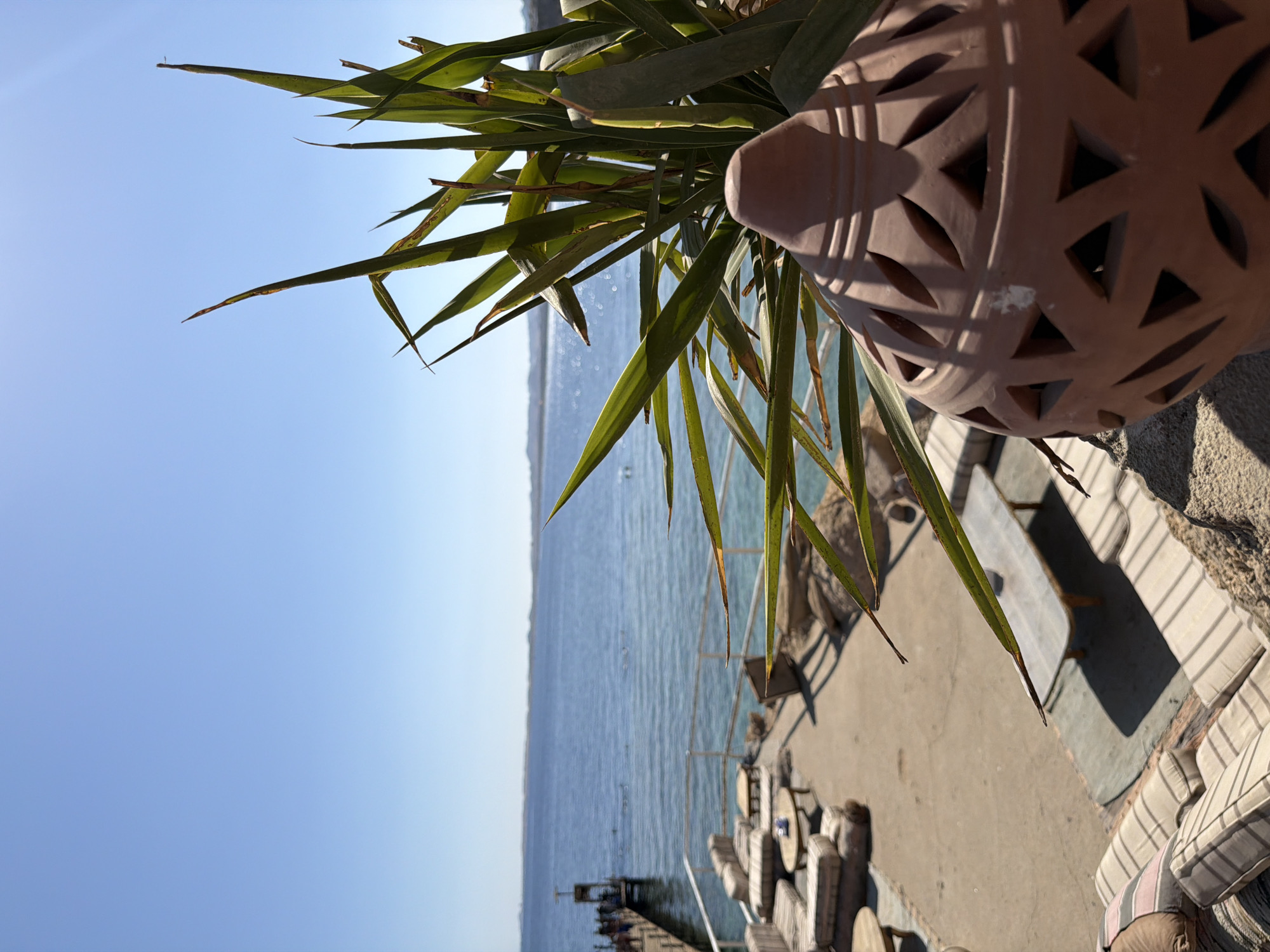 This is a close-up, eye-level, vertical shot of a decorative terracotta pot with an intricate geometric pattern, positioned in the foreground to the right of the image. Behind the pot, a green plant with long, pointed leaves reaches towards a clear blue sky. The middle ground of the image reveals a sun-drenched patio area with low-lying seating arrangements, including cushioned benches and low tables. Further back, a wooden pier extends into the calm, blue sea. The horizon is marked by a distant coastline. The scene appears to be a relaxed outdoor seating area at a waterfront establishment in Sharm El Sheikh, Egypt, likely a cafe or restaurant, given the ambiance and the presence of lounge furniture.