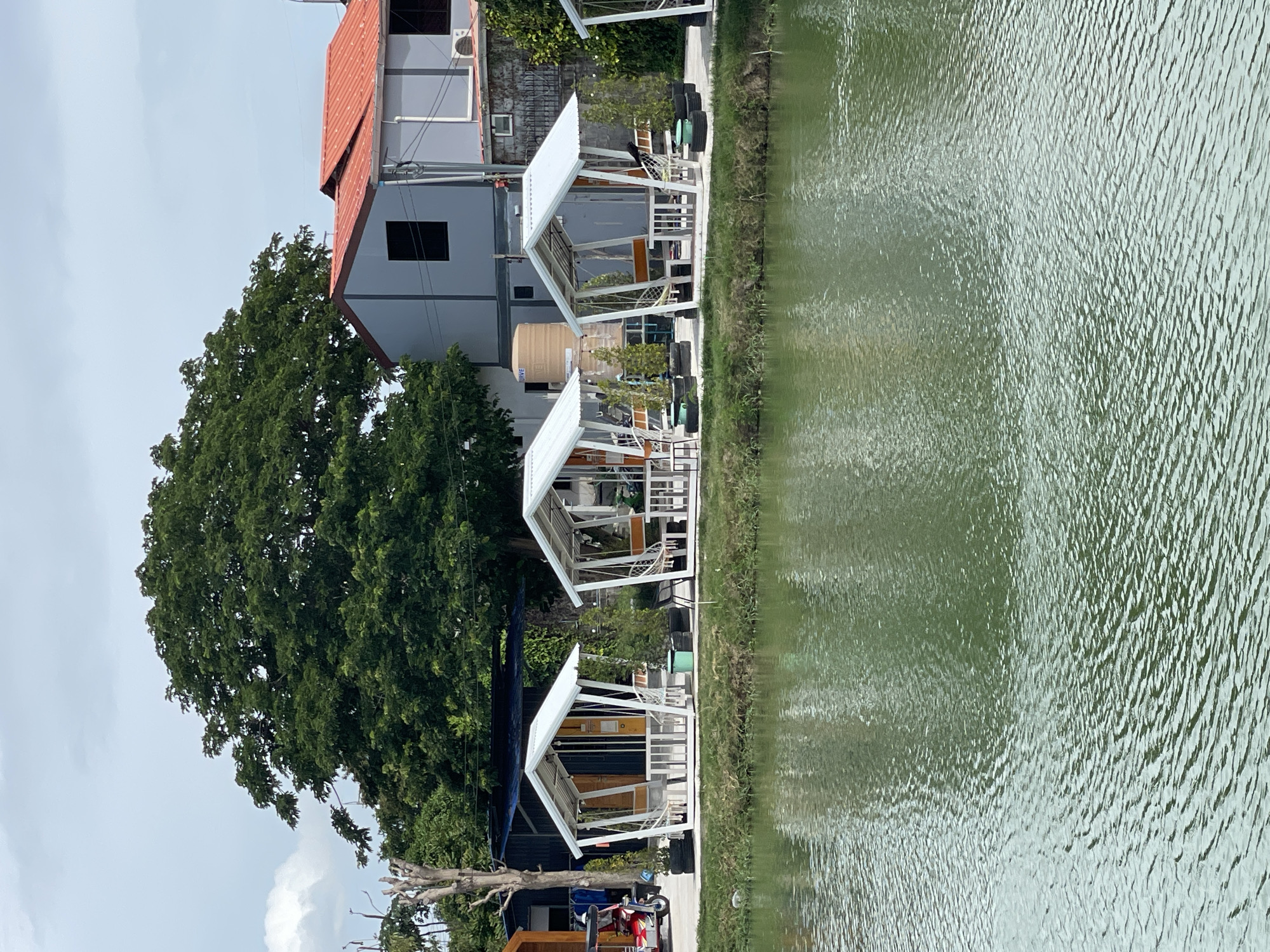 The image depicts a serene outdoor seating area beside a body of calm, green water. In the foreground, the water exhibits a rippled surface with reflections of the surrounding environment. Along the edge of the water, a grassy embankment leads up to a paved walkway. Parallel to the walkway are three open-air gazebos, each with a white, pitched roof supported by white posts. Inside each gazebo, there are white tables and chairs, with at least two of them featuring hanging white hammocks. Small green plants in black pots are strategically placed around the gazebos. Further in the background, a large green tree dominates the scene, with its branches extending outwards. Behind the trees, buildings with grey walls and red roofs are visible, along with a large water tank. To the left of the gazebos, a portion of a red and chrome tuk-tuk is parked. The sky above is overcast with a few scattered clouds. The overall impression is one of a peaceful, natural setting, likely a cafe or restaurant by a lake in Muang Pattaya, Thailand, designed for outdoor relaxation.