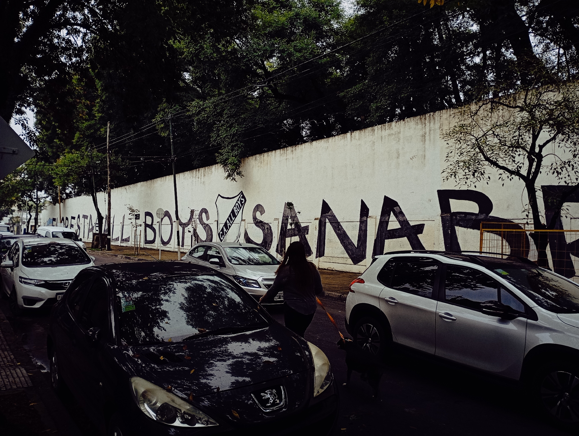 The image shows a street in Buenos Aires, Argentina, with parked cars and a woman walking a dog. A long, white wall with graffiti that reads "FLORESTA ALL BOYS" is visible behind the cars. The trees above the wall and surrounding buildings suggest an urban environment with some greenery. The street appears to be wet, likely from recent rain. The presence of cars and a pedestrian suggests a residential or commercial area.