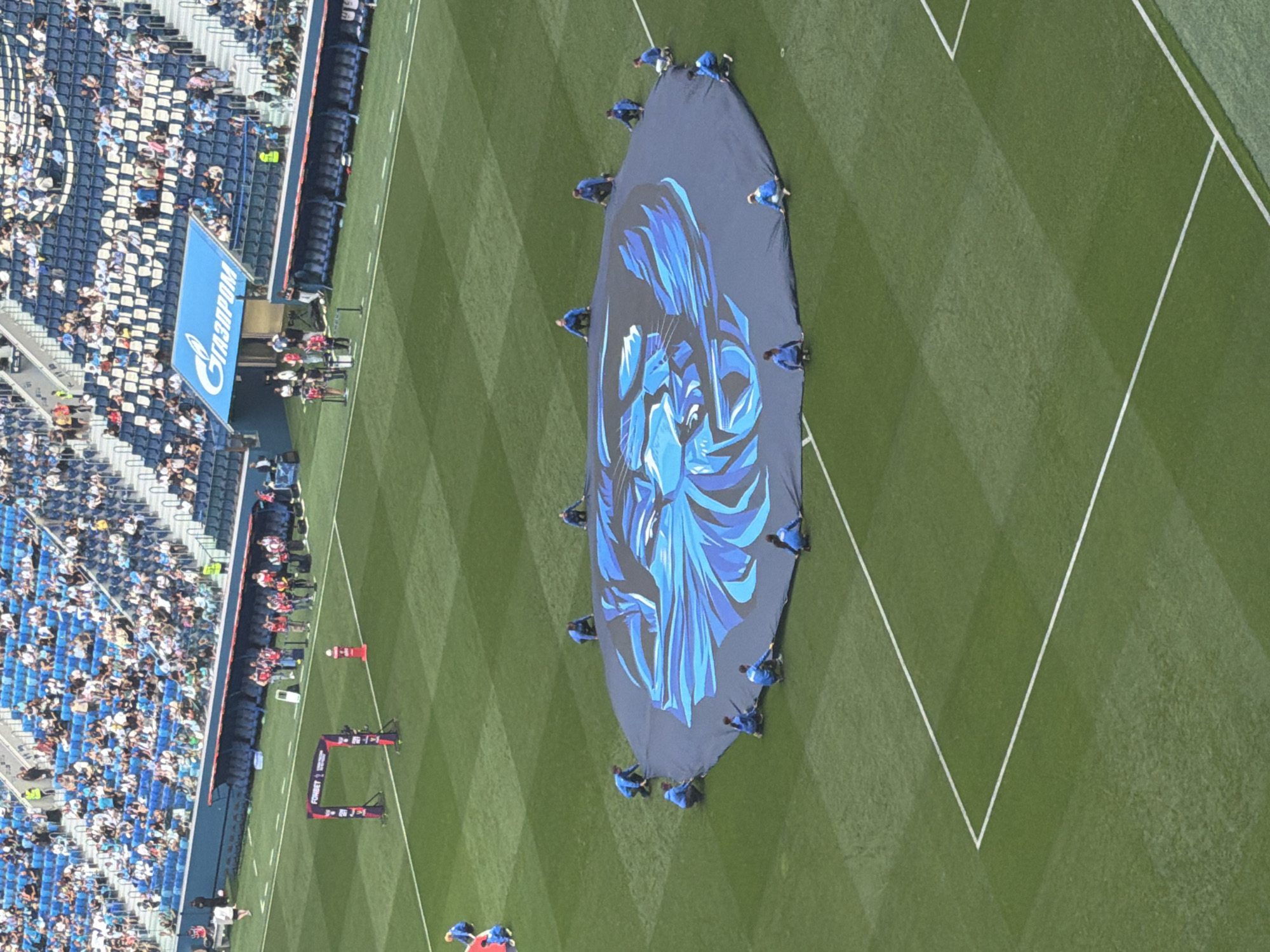 This is an aerial, high-angle shot of a football stadium in Saint Petersburg, Russia, likely Gazprom Arena, a venue for FC Zenit Saint Petersburg. The scene captures a pre-game or halftime event on the meticulously maintained green grass field. A large, circular banner featuring a stylized blue lion's head logo is spread across the field. Approximately a dozen individuals, dressed in blue uniforms, are seen kneeling or crouching around the perimeter of the banner, appearing to be in the process of unfolding, adjusting, or folding it. In the background, sections of the stadium's blue seating are visible, populated by a crowd of spectators. A prominent blue banner with the white "GAZPROM" logo is displayed above the seating. Other elements in the wider view include a sponsorship archway on the left and red and white bollards on the right side of the field. The lighting suggests it is daytime, with bright, natural sunlight illuminating the scene.