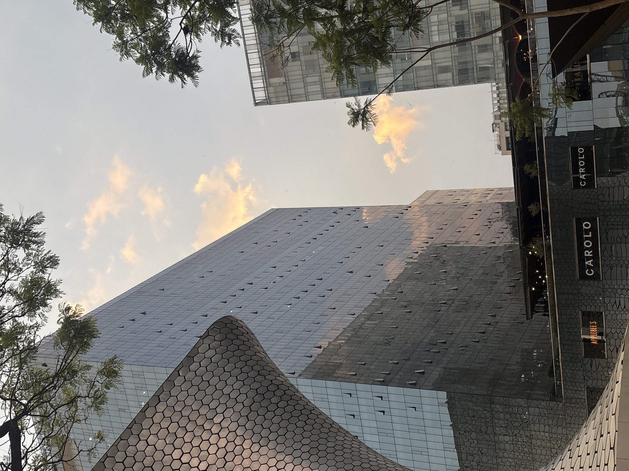 The image shows a view of the Soumaya Museum in Mexico City, Mexico, as seen from a ground-level perspective looking up towards the sky.
In the foreground, the distinctively shaped, honeycomb-patterned exterior of the Soumaya Museum is visible. Adjacent to the museum, a taller, rectangular building with a grid-like facade of glass windows extends upward. The building appears to be a commercial or office structure.
Further in the background, another skyscraper is seen, partially obscured by foliage and the other buildings. Tree branches and leaves are present in the upper part of the frame, adding a natural element to the urban landscape.
Signs with the name "CAROLO" can be seen on the right side of the image. An "Applebee's" sign is also visible below the signs that say "CAROLO".
The sky is light with scattered clouds, suggesting either sunrise or sunset. The overall color tone is muted and atmospheric. The image captures the contrast between the organic forms of the trees and the geometric lines of the architecture.