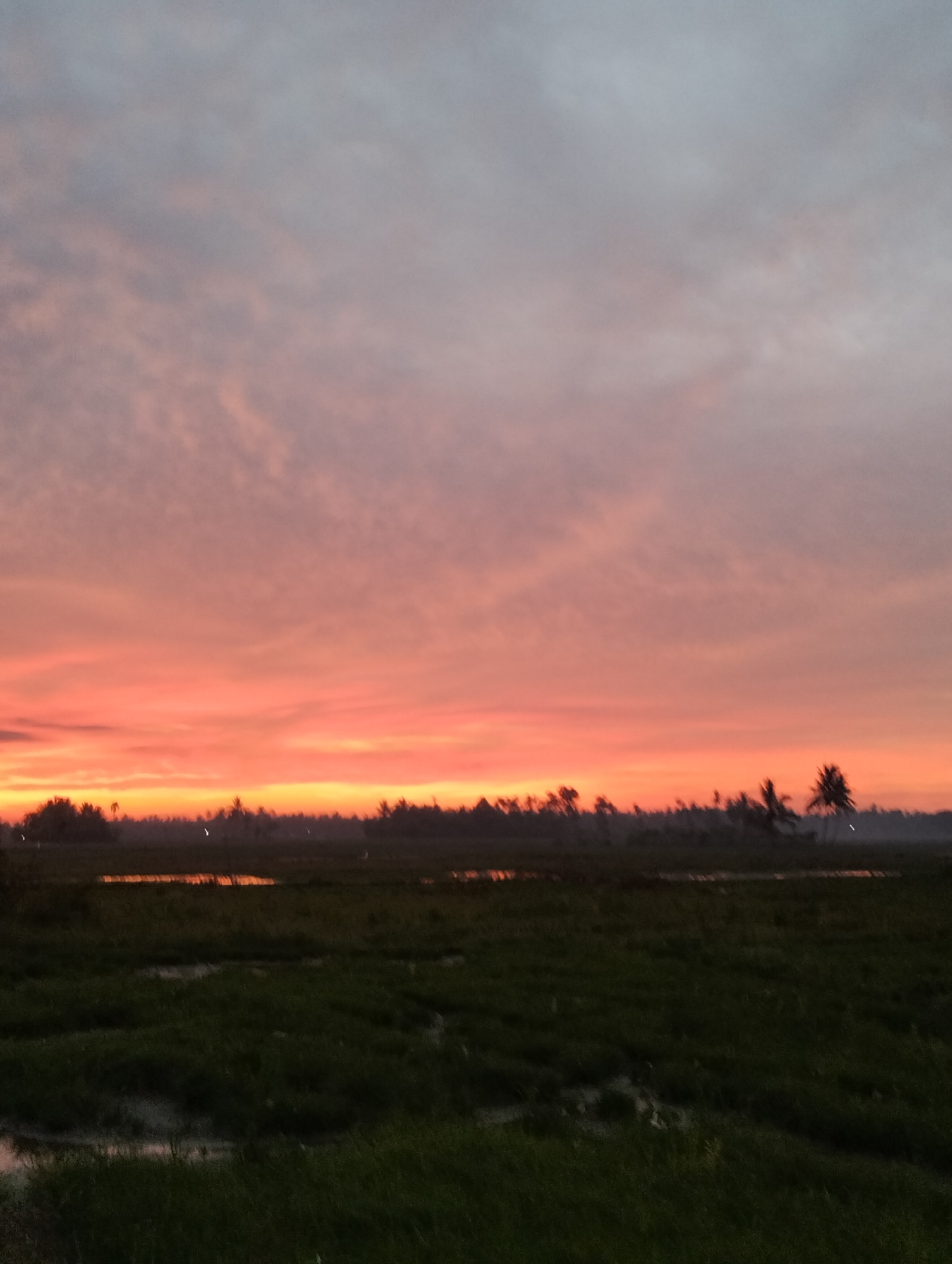 An outdoor, vertical, medium-shot photograph captures the twilight sky over a rural landscape. The sky is painted with hues of orange and pink near the horizon, transitioning to a pale gray at the top, with wispy clouds scattered throughout. Below the sky, a dark silhouette of trees, possibly palm trees, stretches across the middle ground. The foreground consists of a dark, green field with patches of water. The overall impression is that of a peaceful evening in a natural setting. The location is identified as Meunasahalue, Indonesia. There are no people or animals visible in the image.