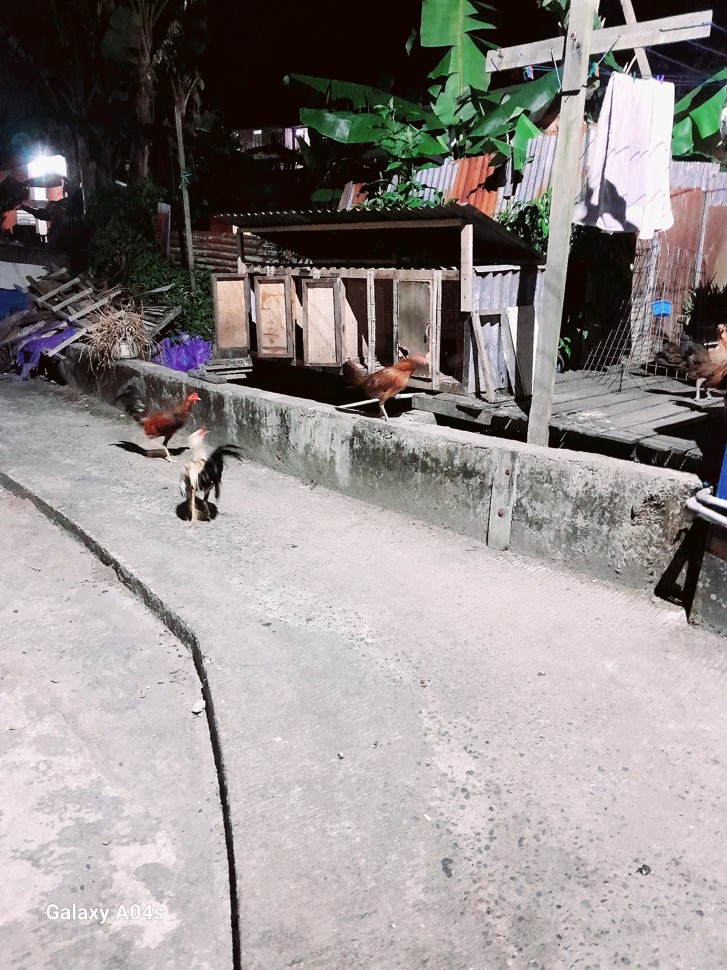 A nighttime scene on a cracked concrete road in Balikpapan, Indonesia, shows several roosters and hens foraging near a wooden structure with multiple compartments. The structure, likely a coop, is roofed with corrugated metal and has wooden doors. In the background, banana trees and other vegetation are visible, along with a clothesline strung between a wooden pole and a structure, with a white cloth hanging from it. The image has a "Galaxy A04s" watermark in the bottom left corner.