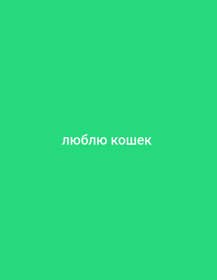The image is a simple, minimalist graphic with a solid green background. In the center of the image, white text is displayed. The text reads "люблю кошек". This is a Russian phrase that translates to "I love cats". There is no information about the city of Kondrovo, Russia, in the image itself.