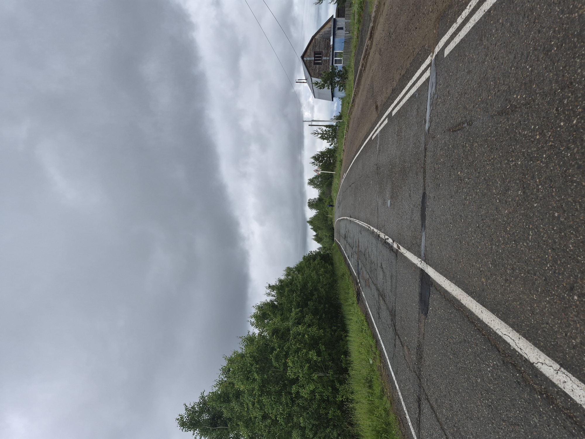 The image depicts a rural or semi-rural two-lane asphalt road under a heavy, dark grey overcast sky in Unknown, Unknown. The asphalt pavement appears worn, exhibiting multiple cracks, patches, and small depressions. A single solid white line marks the left edge of the road, which borders a strip of green grass and dense deciduous trees with lush foliage extending along the entire left side. On the right side of the road, two parallel solid white lines are visible on the asphalt, adjacent to a wider dirt shoulder. The road curves gently to the left in the foreground and then ascends while curving right in the middle distance. In the middle ground on the right, a two-story house is present. Its upper story is clad in dark, weathered wooden planks with two windows, while the lower story is painted a light blue. A dark roof and a chimney are visible. Near the house, a triangular white road sign with a red border and an indistinct dark symbol is erected, alongside a utility pole with overhead wires. Scattered trees, including some conifers, are visible behind the house. A small, dark, indistinct figure is discernible on the road in the middle distance, near the warning sign. The scene is illuminated by flat, diffused light consistent with an overcast day.