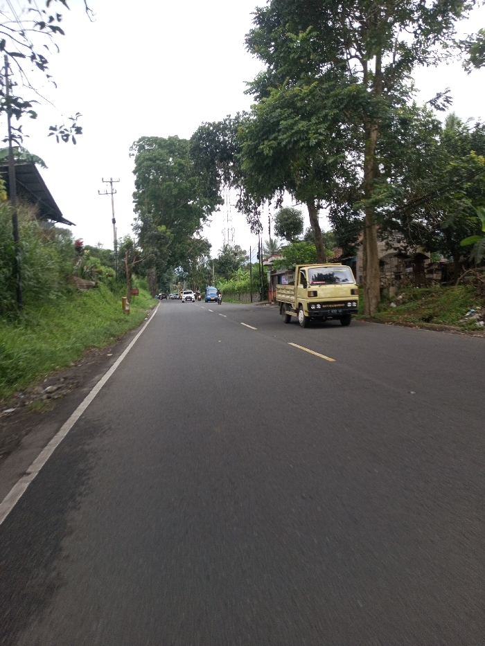 The image displays a two-lane asphalt road in Kodarapalli, India, under an overcast sky. The road features a dashed yellow center line and a solid white shoulder line along its left edge. A light yellow Mitsubishi flatbed truck is visible in the right lane, facing away from the camera. Further down the road, a blue vehicle, several white cars, and a motorcycle or scooter are present, indicating vehicular traffic.
To the left of the road, a grassy embankment rises, partially obscuring a structure with a dark roof. Dense green vegetation and a utility pole with overhead wires are also present on this side. To the right of the road, tall trees line the pavement, behind which stone or concrete structures are partially visible. A tall communication tower is discernible in the distant background, partially obscured by foliage. Multiple utility poles and overhead wires are visible throughout the scene. No individuals are clearly depicted.