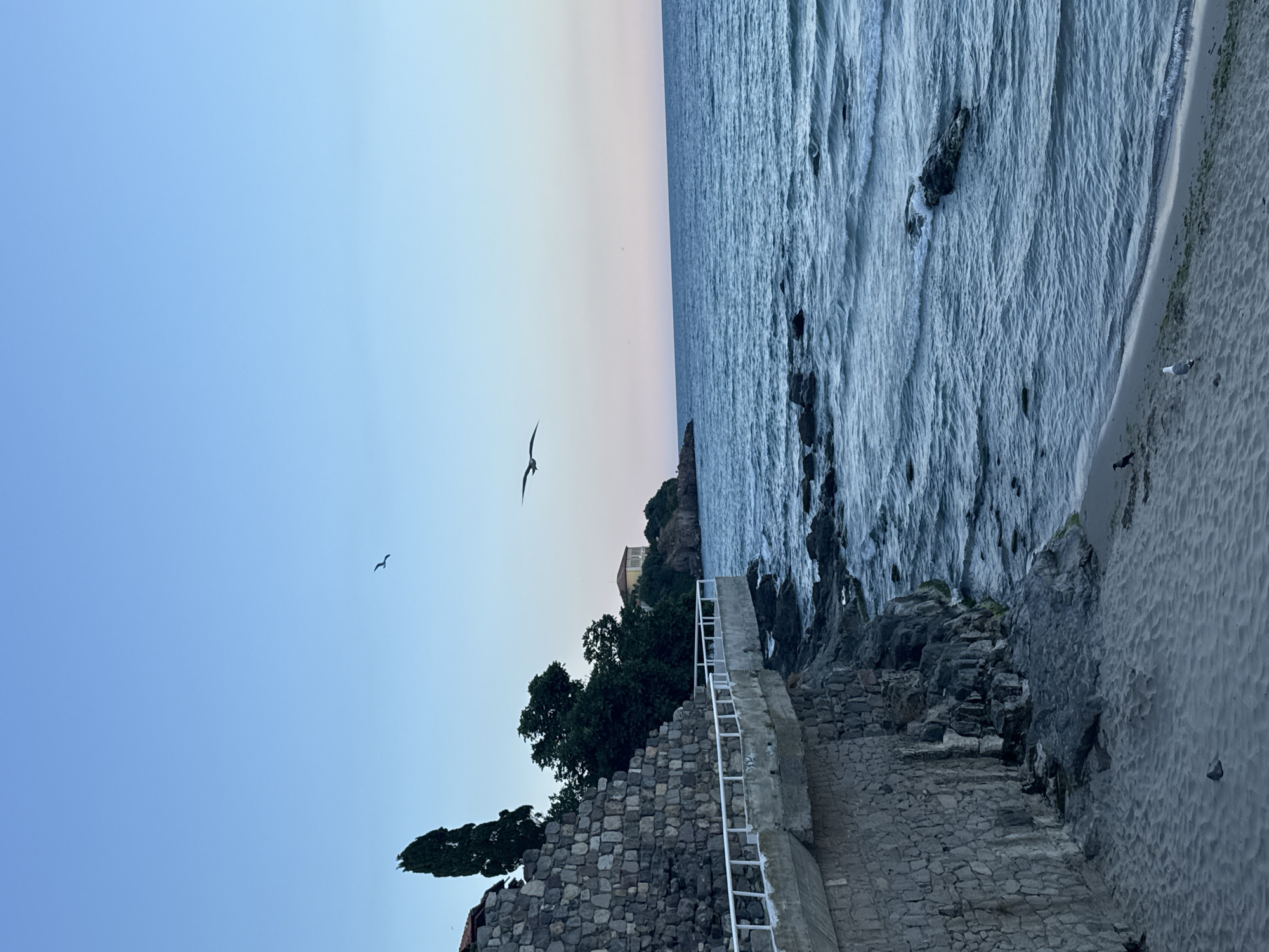 The image depicts a coastal scene in the city of Sozopol, Bulgaria. In the foreground, a sandy beach stretches along the coastline. To the left, a stone wall of an ancient structure runs parallel to the beach, with a paved walkway or promenade above it, bordered by a white railing. Beyond the walkway, lush green trees and a tall cypress tree are visible. In the distance, a building with a yellow facade sits on a cliff overlooking the sea. The sea itself is a deep blue, with visible waves crashing against dark rocks along the shore. Two seagulls are captured in mid-flight against a clear, pale blue sky, with a faint pinkish hue near the horizon, suggesting either dawn or dusk. A few small birds are also present on the beach.