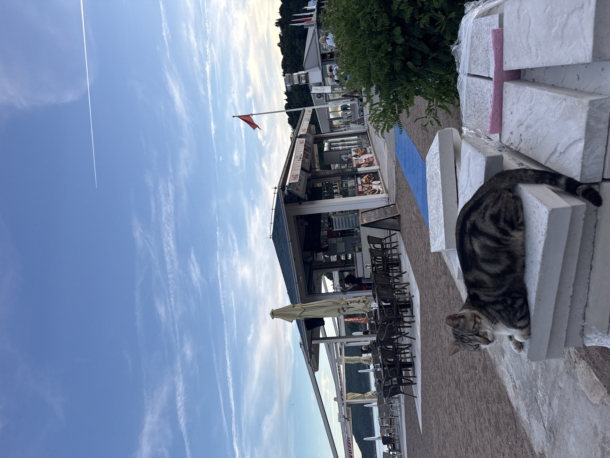 A tabby cat sits on a stack of concrete slabs on a beach. Behind the cat, there is an outdoor cafe with tables and chairs, and buildings with awnings. A red flag flies on a pole. The sky is blue with wispy clouds, and a contrail from an airplane is visible. The scene appears to be at dusk.