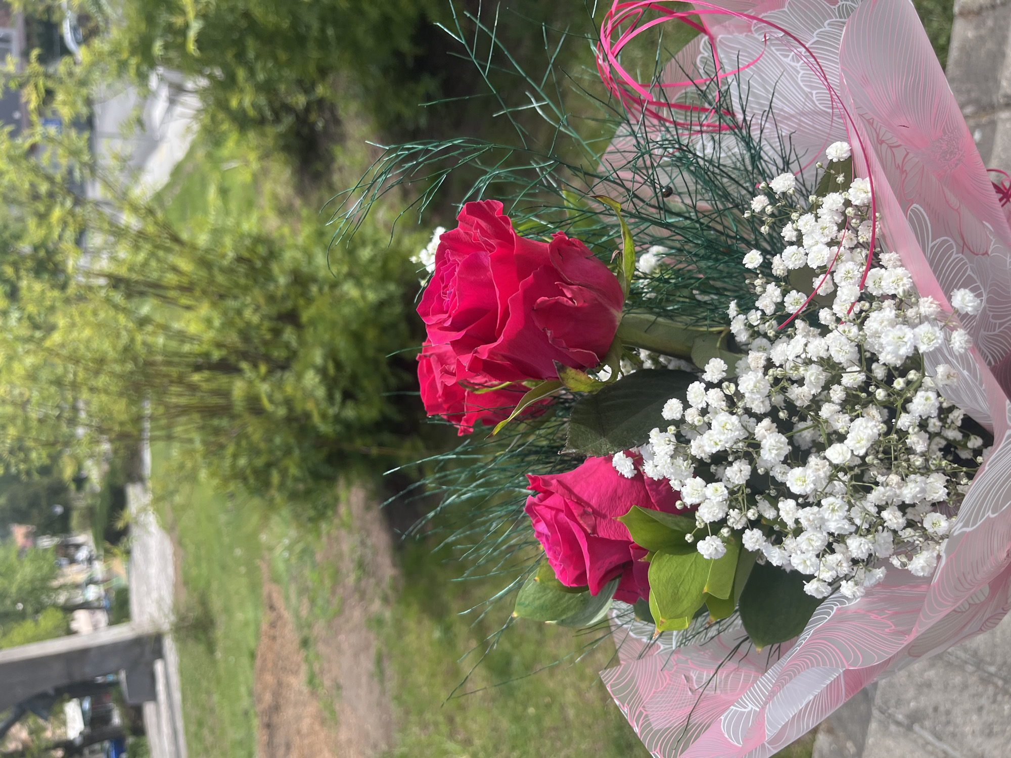 A close-up shot shows a bouquet of red roses and white baby's breath flowers, wrapped in pink patterned paper and tied with pink ribbon. The bouquet is held against a background of green grass and trees. The location appears to be an outdoor area, possibly a park or garden, in an urban environment.