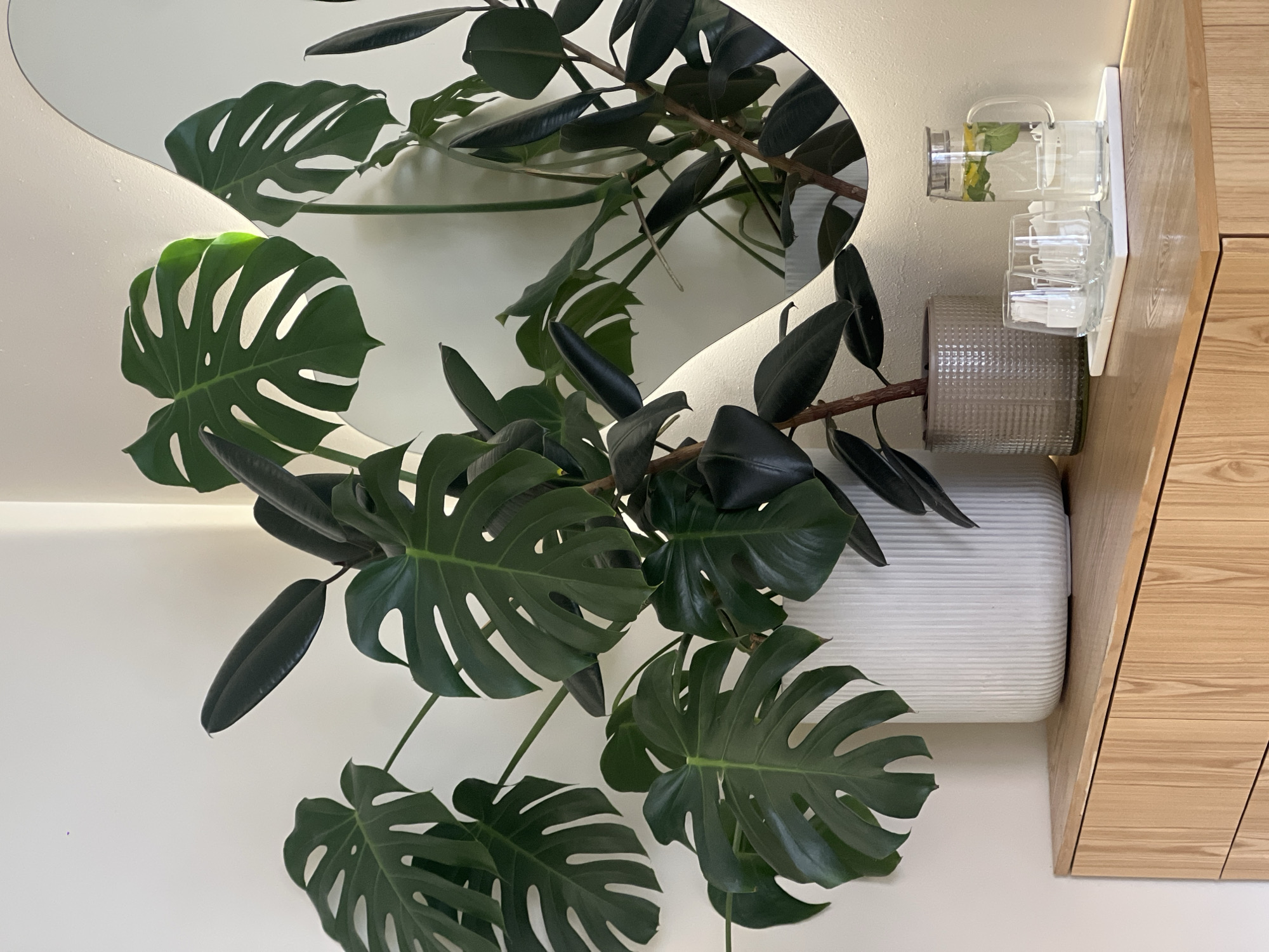 The image depicts a plant arrangement in an indoor setting. A Monstera plant with characteristic split leaves is prominently featured. Also visible are leaves from another plant with smooth, dark green leaves, possibly a Ficus elastica. These plants are arranged near or on a white surface, possibly a wall. The plants partially obscure a rounded mirror, reflecting the plants and the white wall. Adjacent to the plants is a light wood cabinet or drawer unit. On the cabinet is a clear glass pitcher with some liquid and mint leaves, along with some clear glass drinking glasses. The setting is minimalistic and modern. There is no indication that this is located in Vladivostok, Russia.
