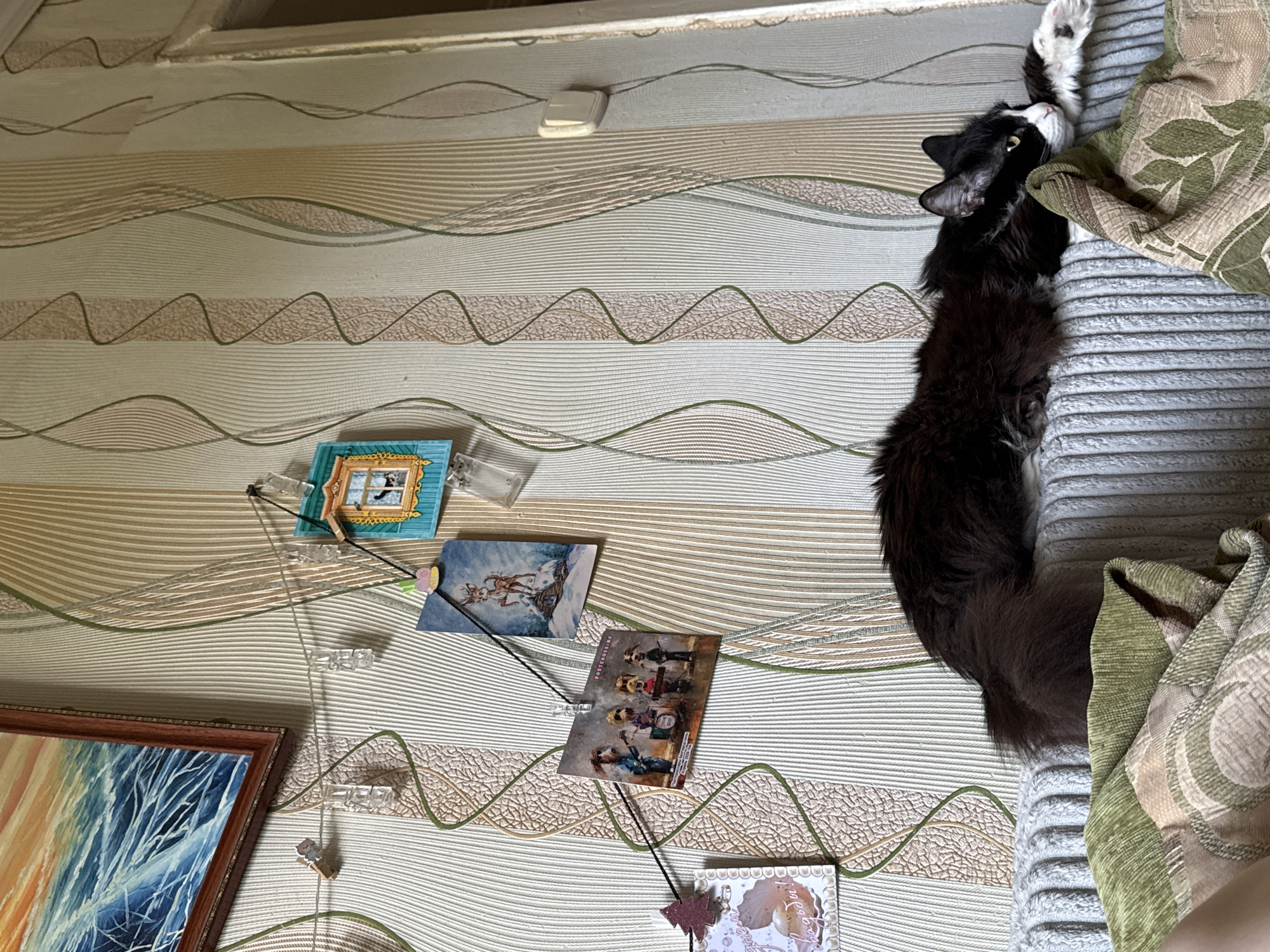 A cat is lying on a gray striped sofa next to a green patterned blanket. The cat is mostly black with some white markings. The cat is stretching its paw upwards. The background features a patterned wallpaper with a horizontal wavy design in beige and green. Several postcards are attached to the wall using small clear clips and a black string. Below the postcards is a framed painting with colors of blue, orange, and white. The scene is in an interior setting with a window frame visible in the upper portion of the image. The location is Izhevsk, Russia.