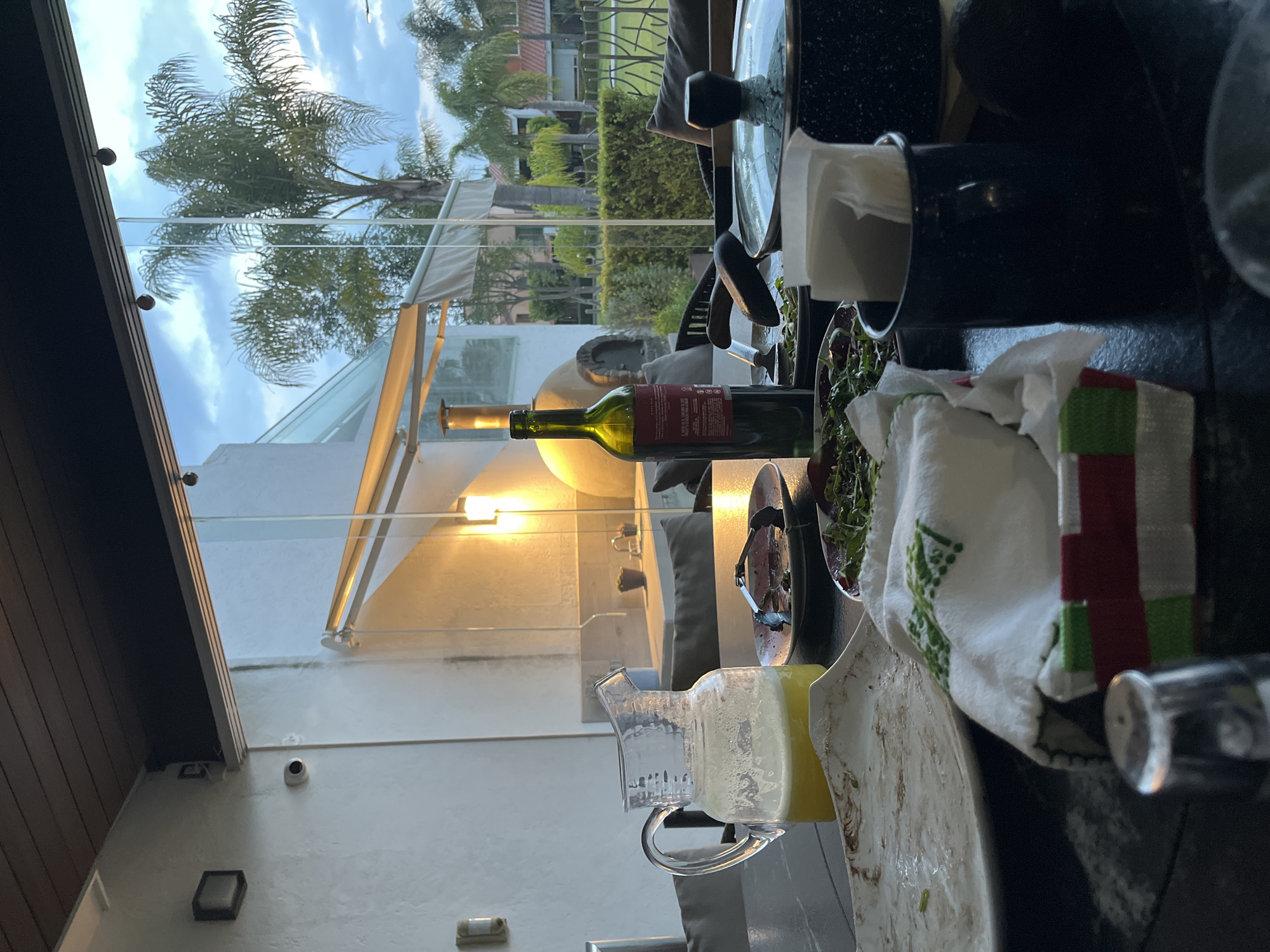 Captured in San Bernardino Tlaxcalancingo, Mexico, the image presents a scene dominated by culinary elements. A wine bottle rests on a countertop, flanked by a pitcher of liquid, possibly juice. Adjacent to these are a plate with remnants of food and a salad bowl, suggesting a recent meal. Cooking utensils and pots indicate ongoing or recent cooking activity. The scene is set indoors, with a view through a glass structure revealing a lush outdoor area featuring trees and buildings. The presence of furniture suggests a patio or dining area connected to the interior. The overall composition suggests a casual, lived-in space where food preparation and consumption are central.